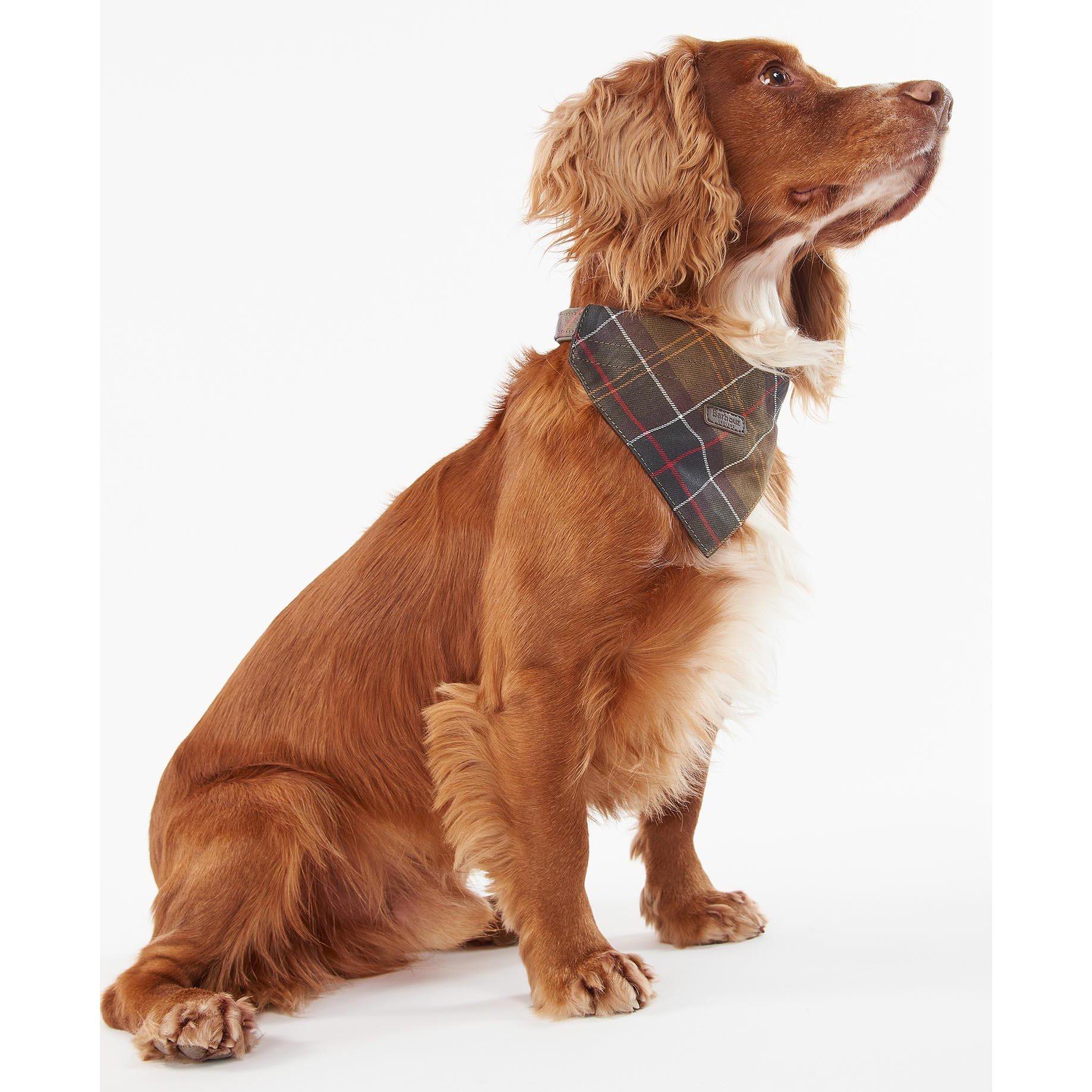 Classic Tartan - Barbour - Tartan Bandana - 4