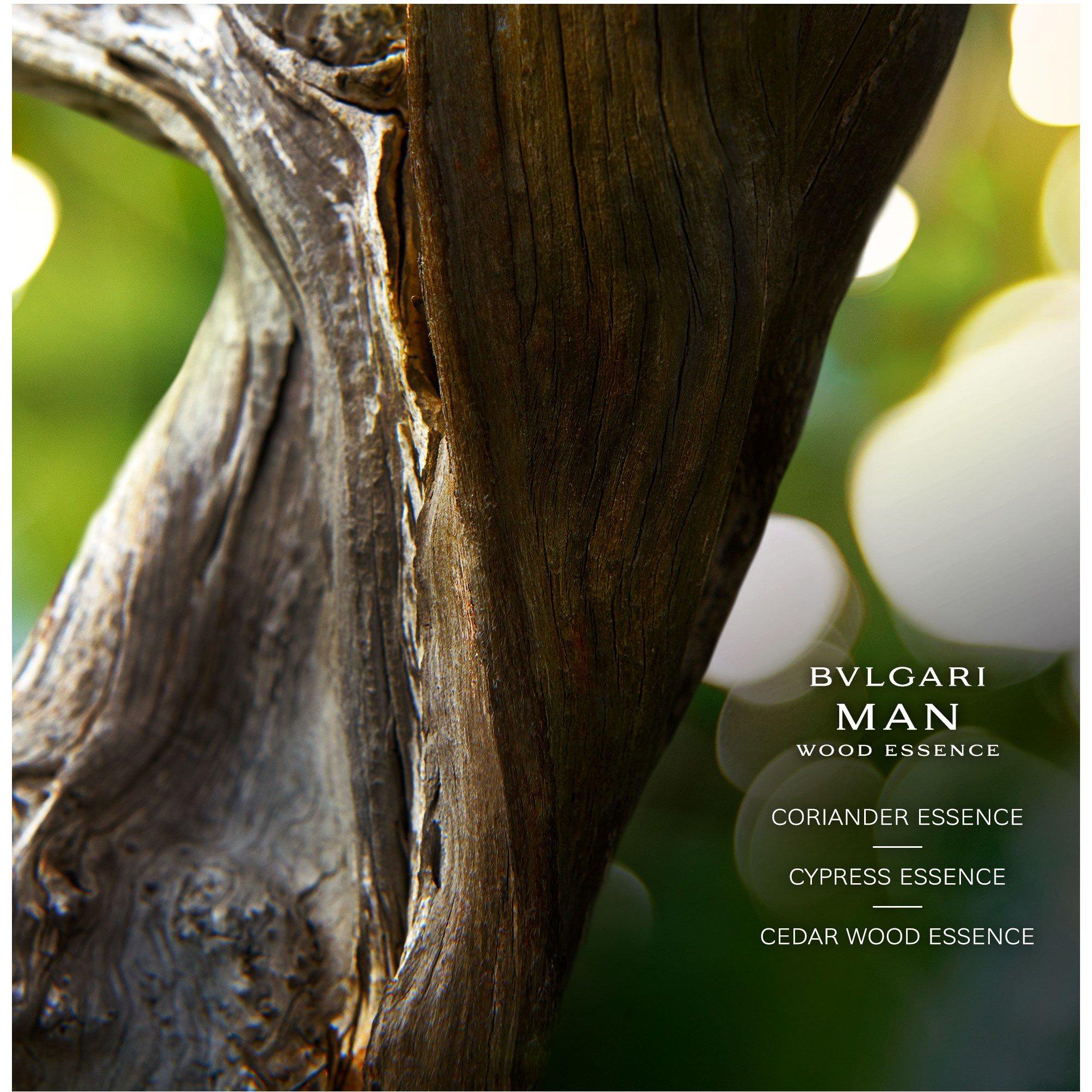 Not Applicable - Bvlgari - MAN WOOD ESSENCE 100ML ED - 5