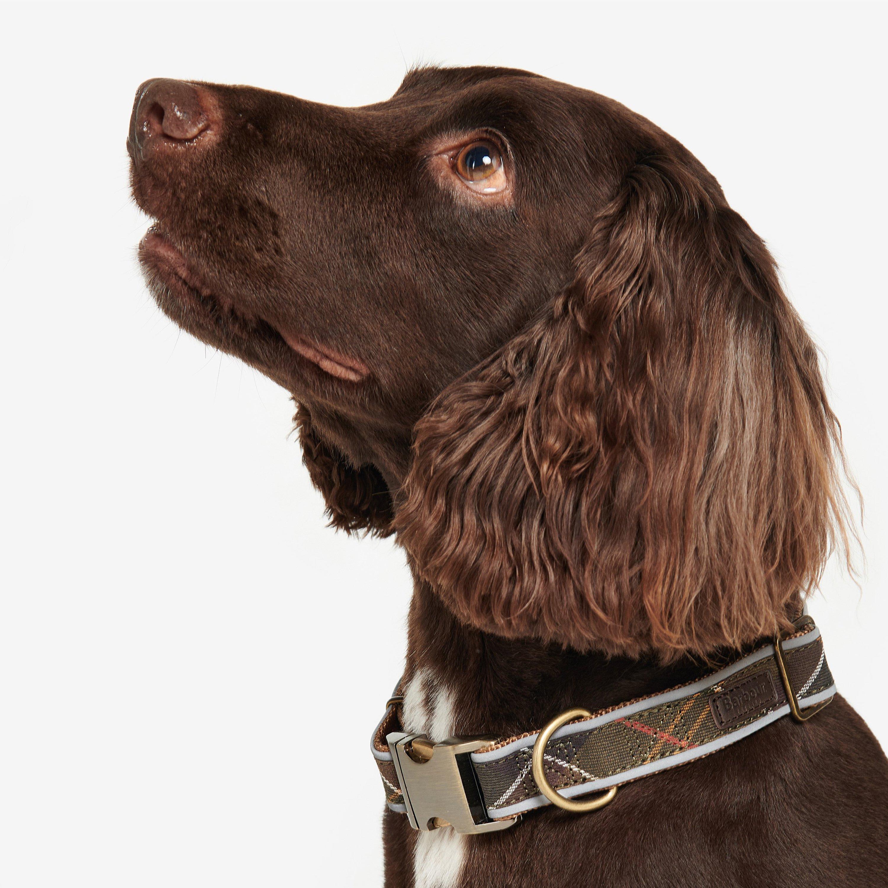 Classic Tartan - Barbour - Classic Dog Collar with Metal Hardware - 2