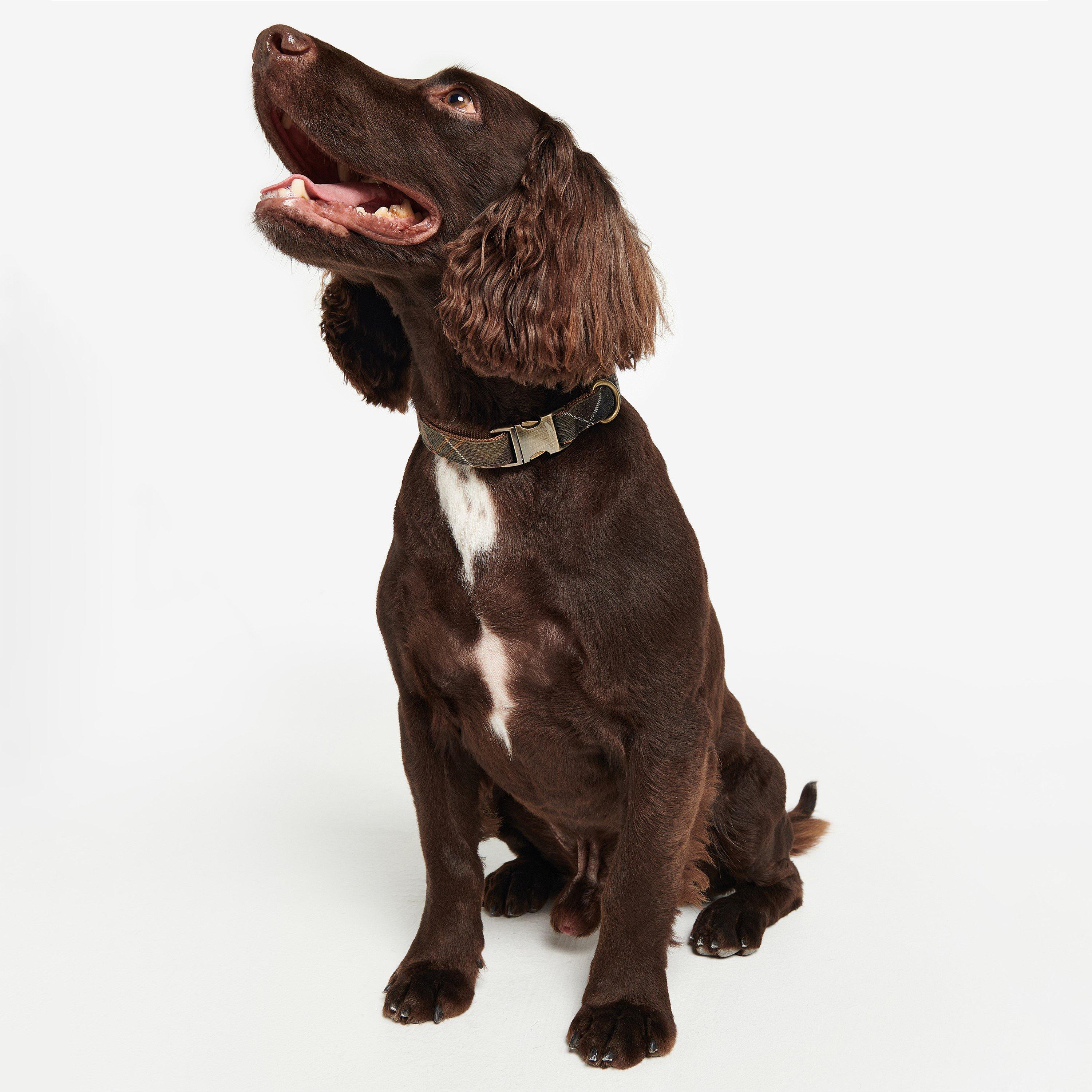 Classic Tartan - Barbour - Classic Dog Collar with Metal Hardware - 4