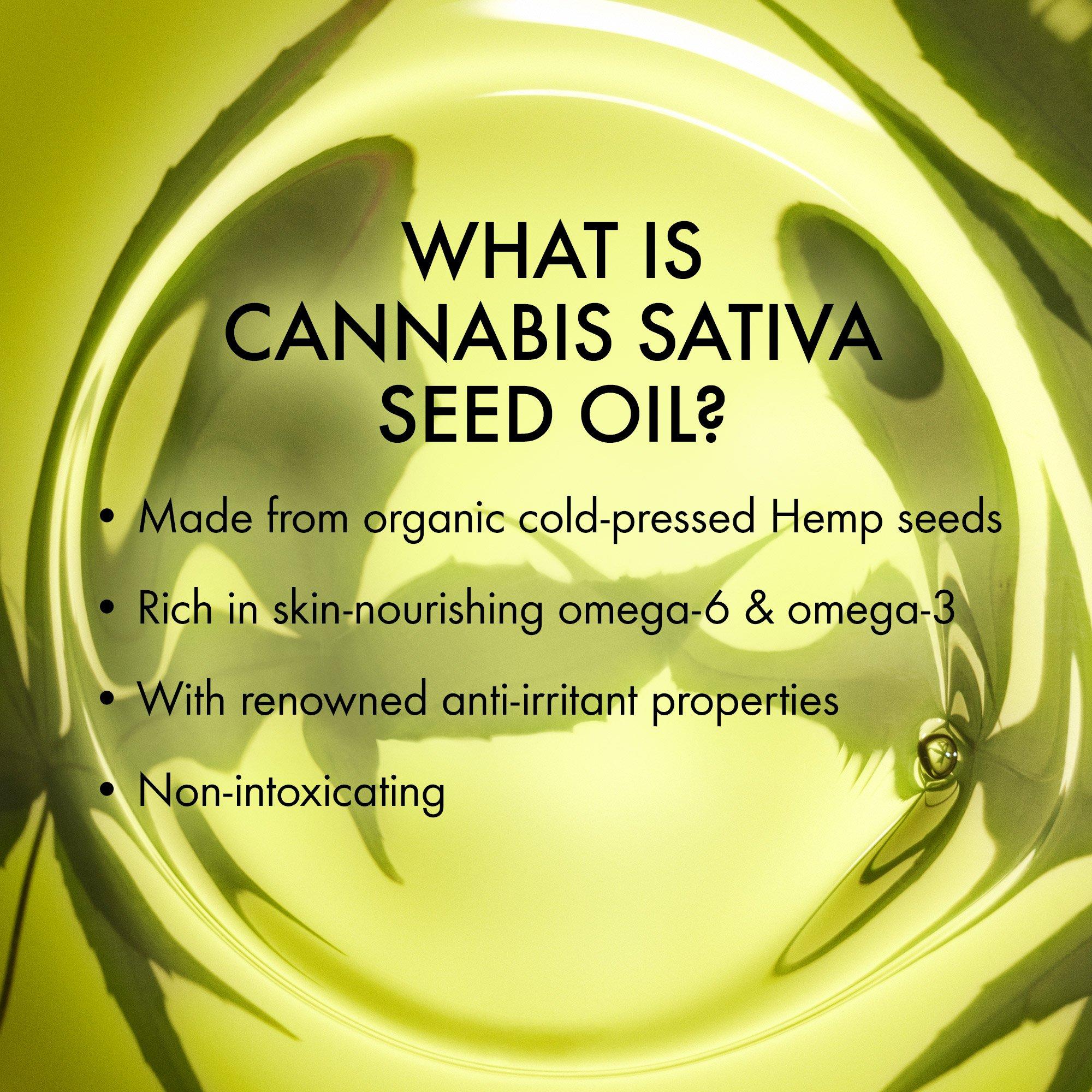 Cream - Origins - Hello, Calm Relaxing & Hydrating Face Mask With Cannabis Sativa Seed Oil - 5