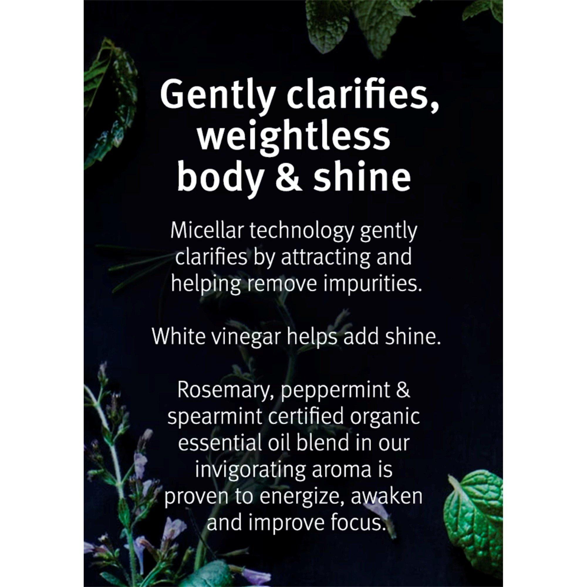 Liquid - Aveda - Rosemary Mint Purifying Shampoo Invigorating Aroma - 4