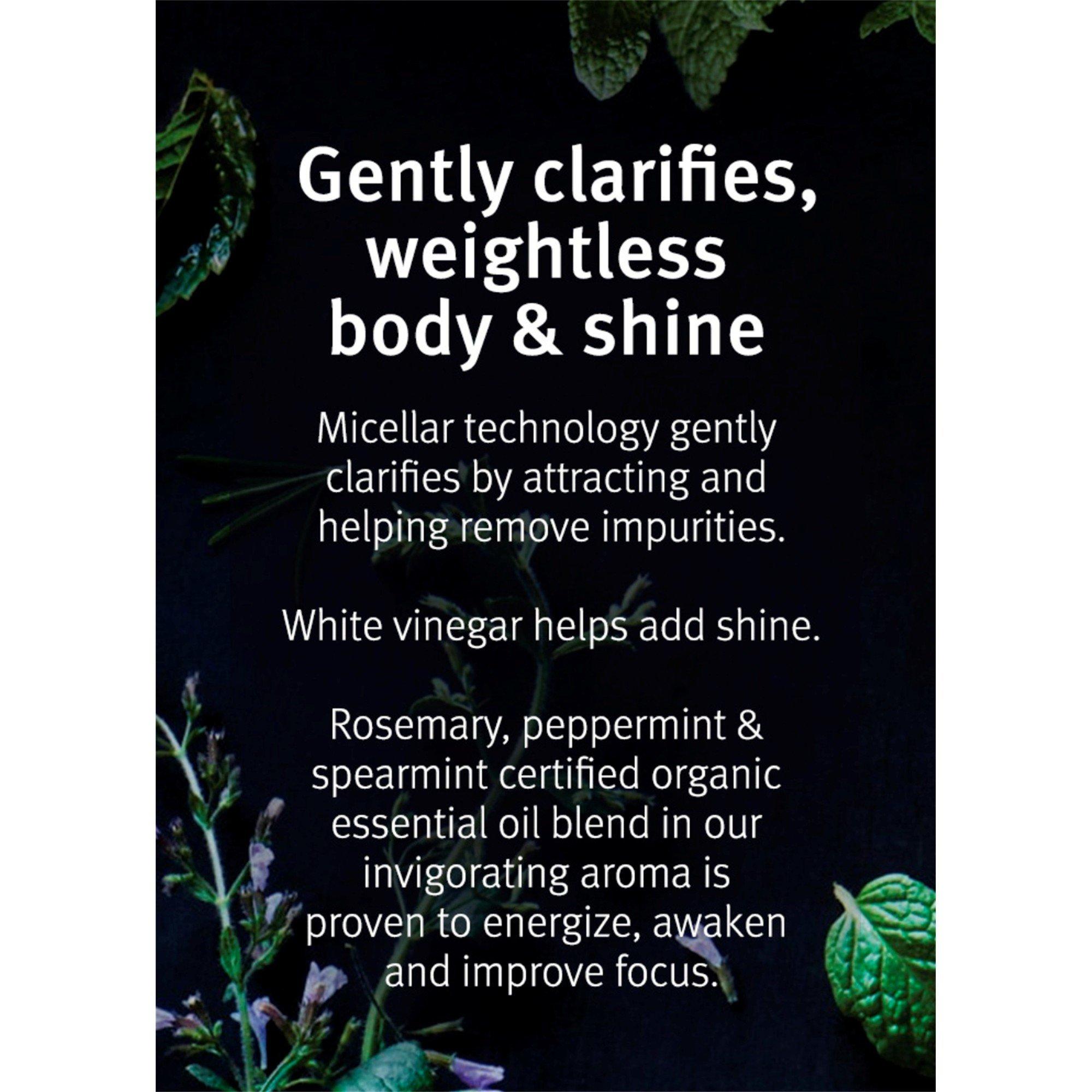 Liquid - Aveda - Rosemary Weightless Mint Conditioner - 4