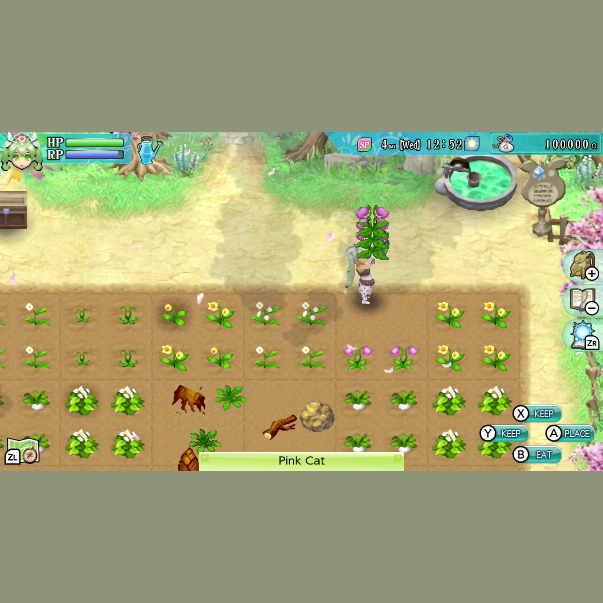 Nintendo Switch - Marvelous Games - Rune Factory 4 Special - 7