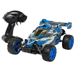 RC Monster Mud RC Buggy