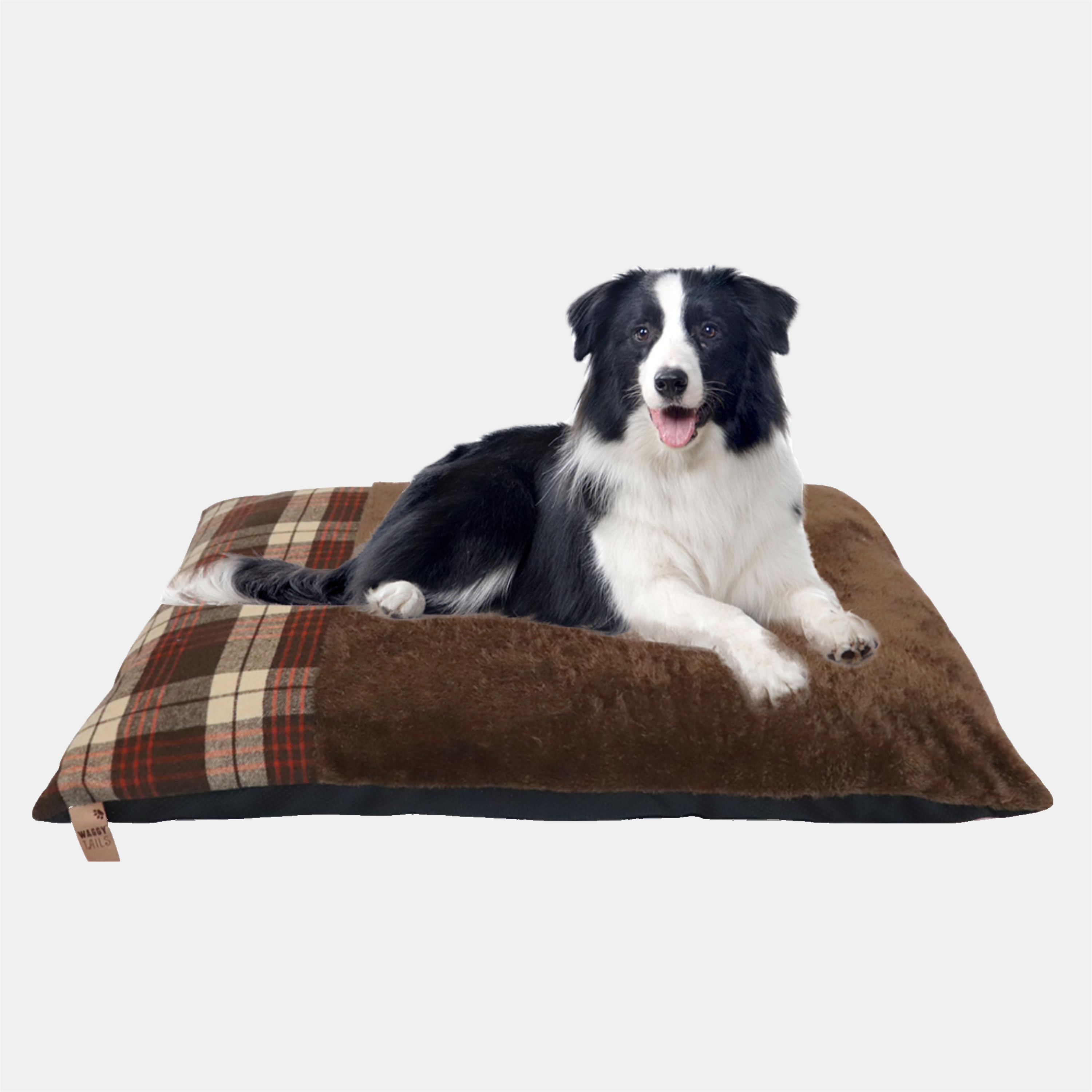Marron - Waggy Tails - Check Cushion - 3