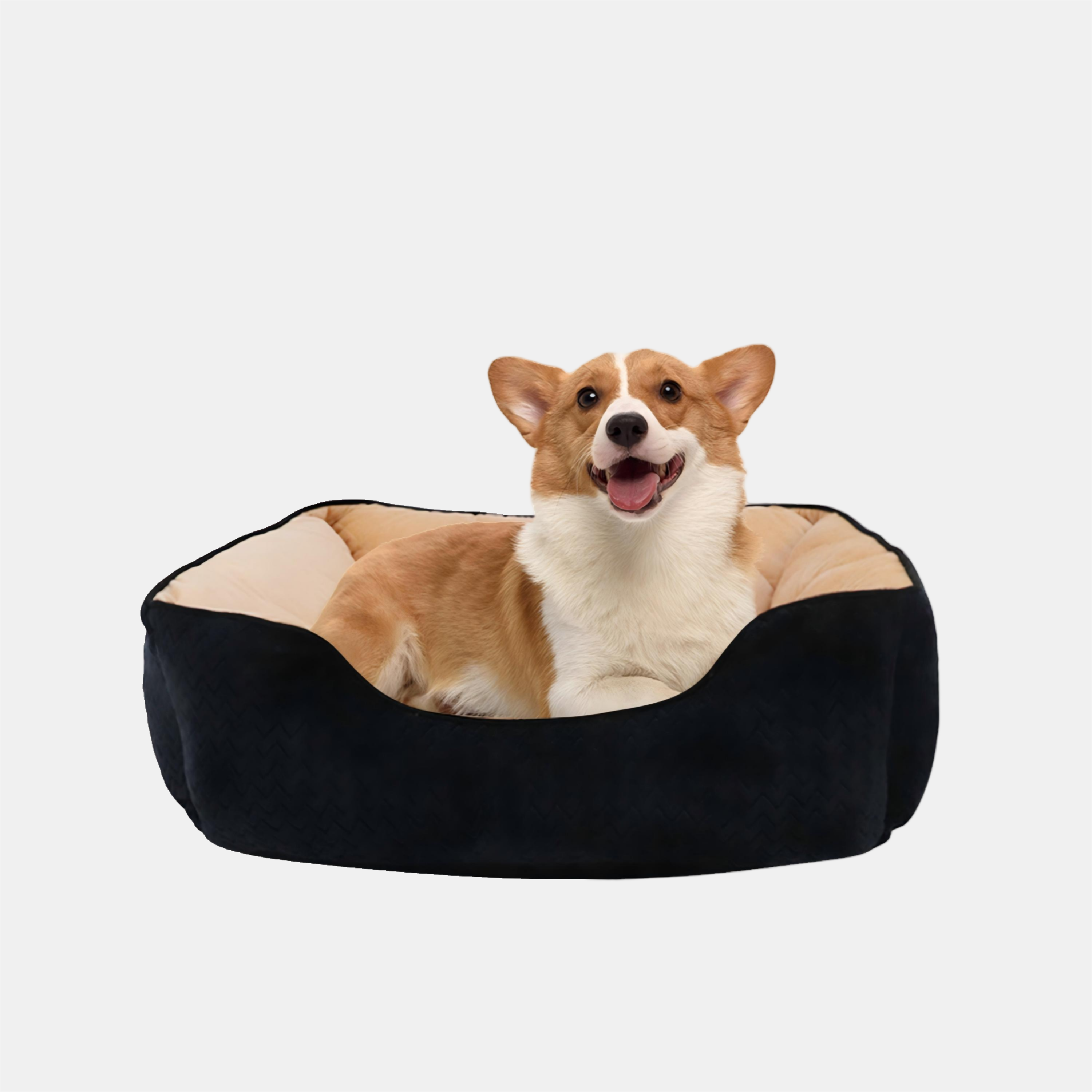 Schwarz/Ecru - Waggy Tails - Large Square Pet Bed - 2