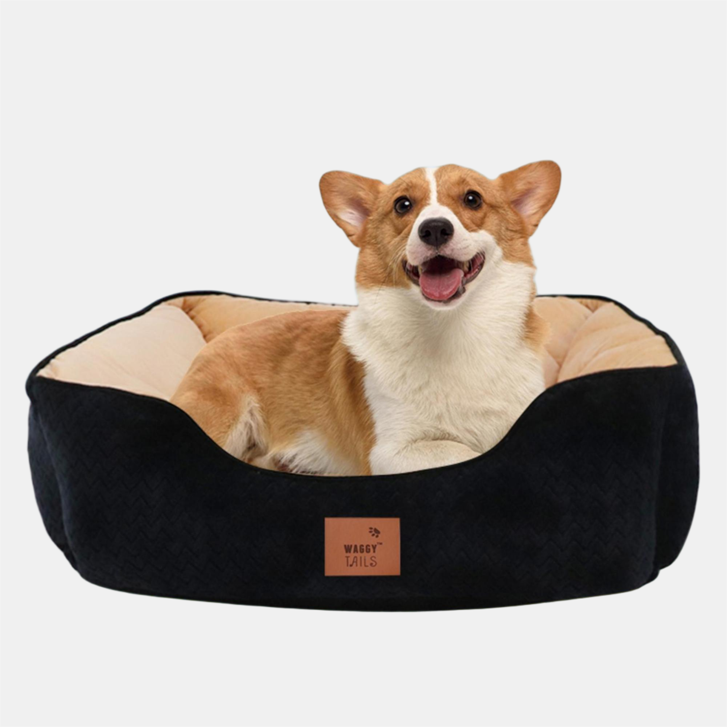 Schwarz/Ecru - Waggy Tails - XL Square Pet Bed - 2