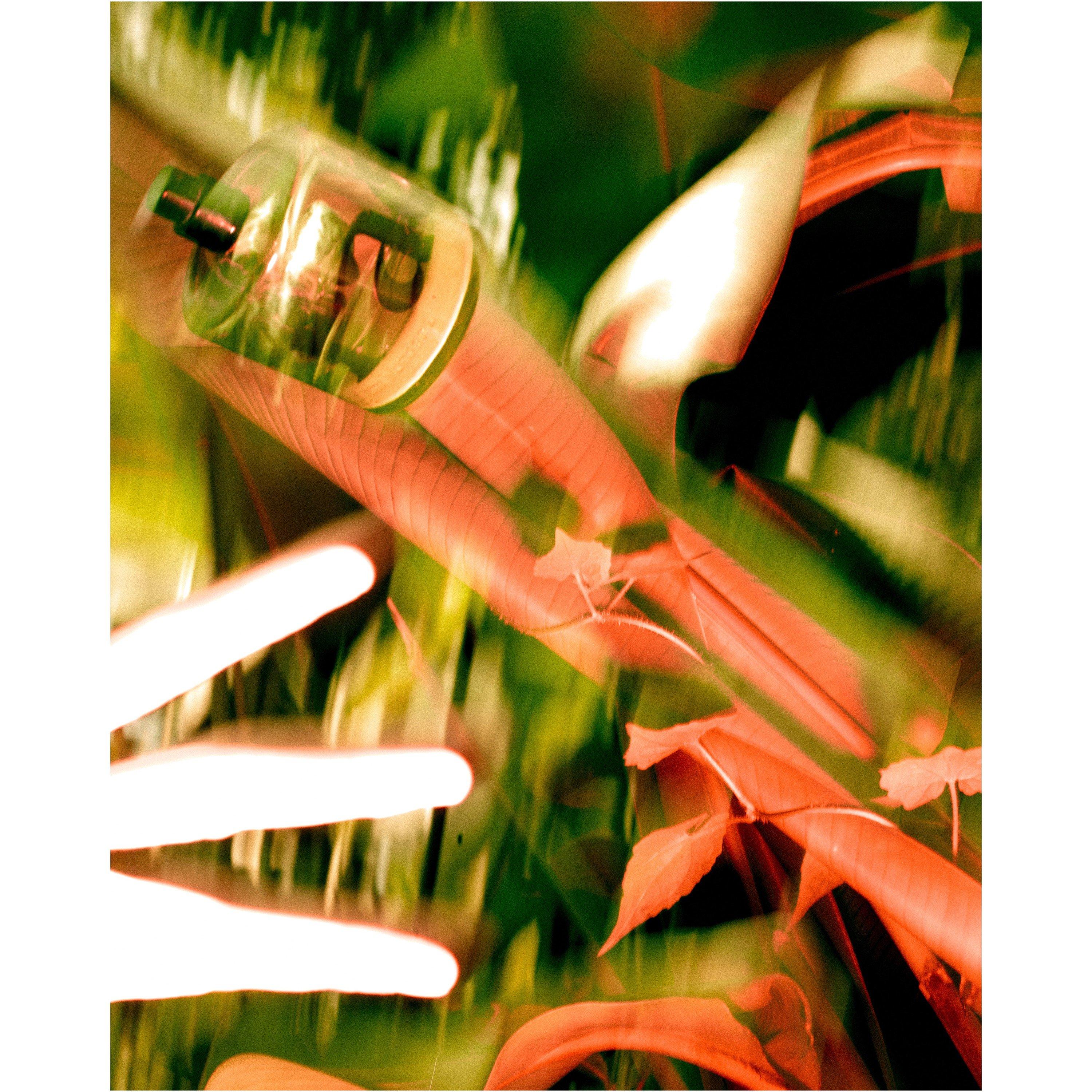 Not Applicable - Vyrao - I AM VERDANT EDP 30ML - 3