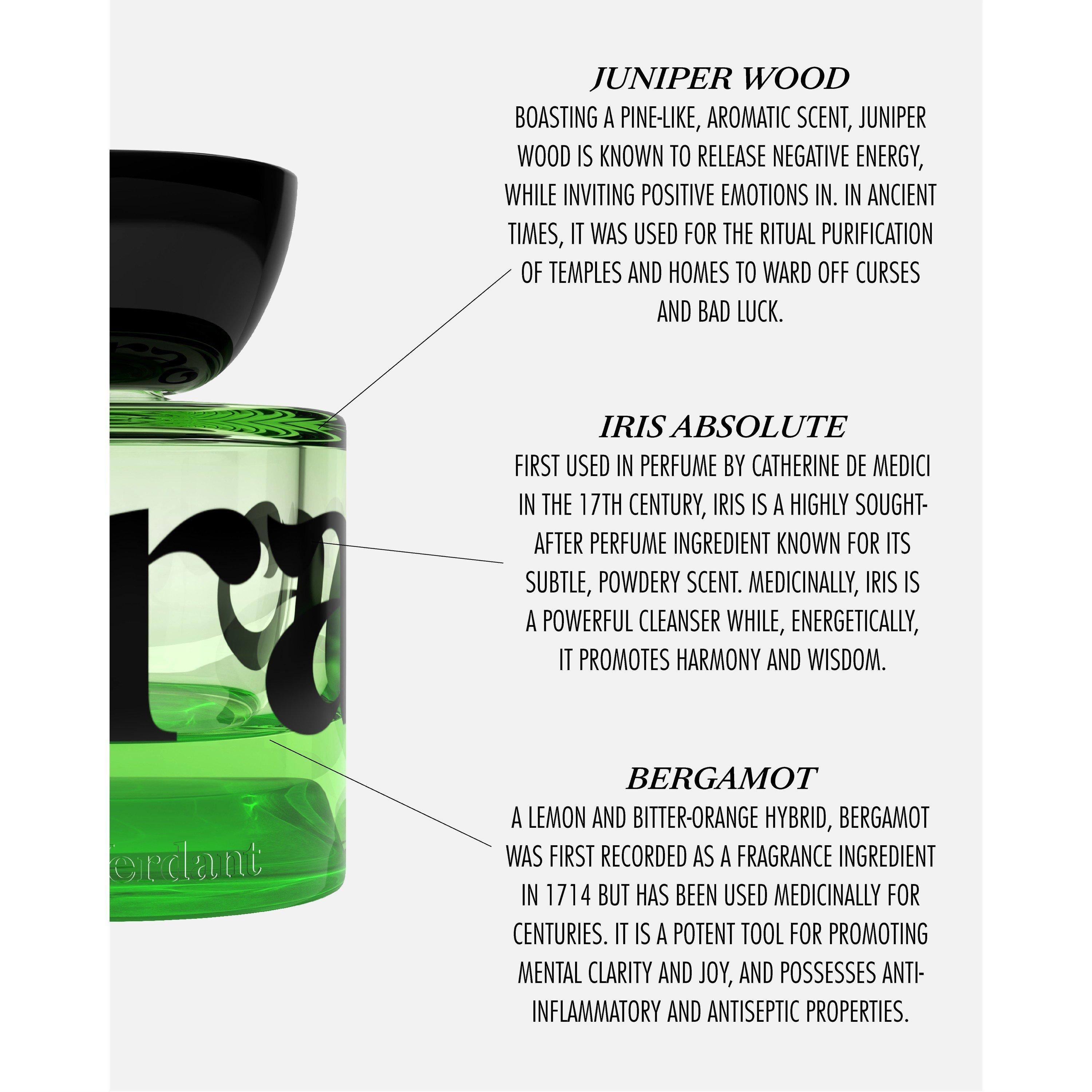 Not Applicable - Vyrao - I AM VERDANT EDP 30ML - 6