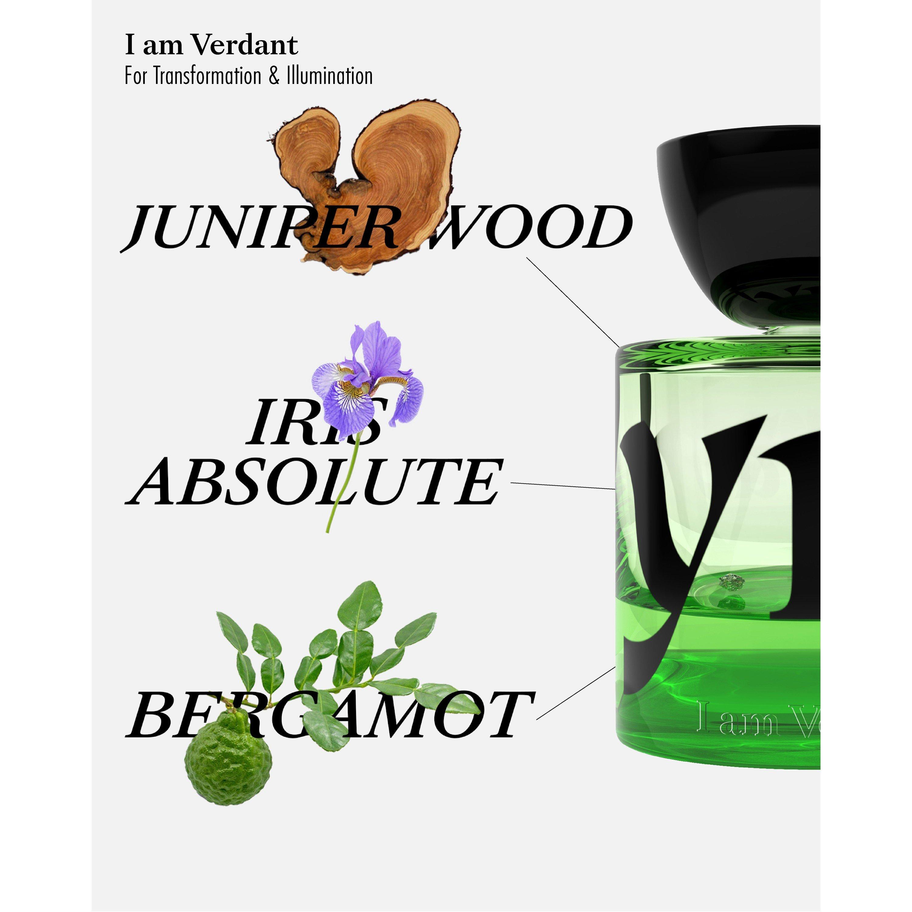 Not Applicable - Vyrao - I AM VERDANT EDP 50ML - 4