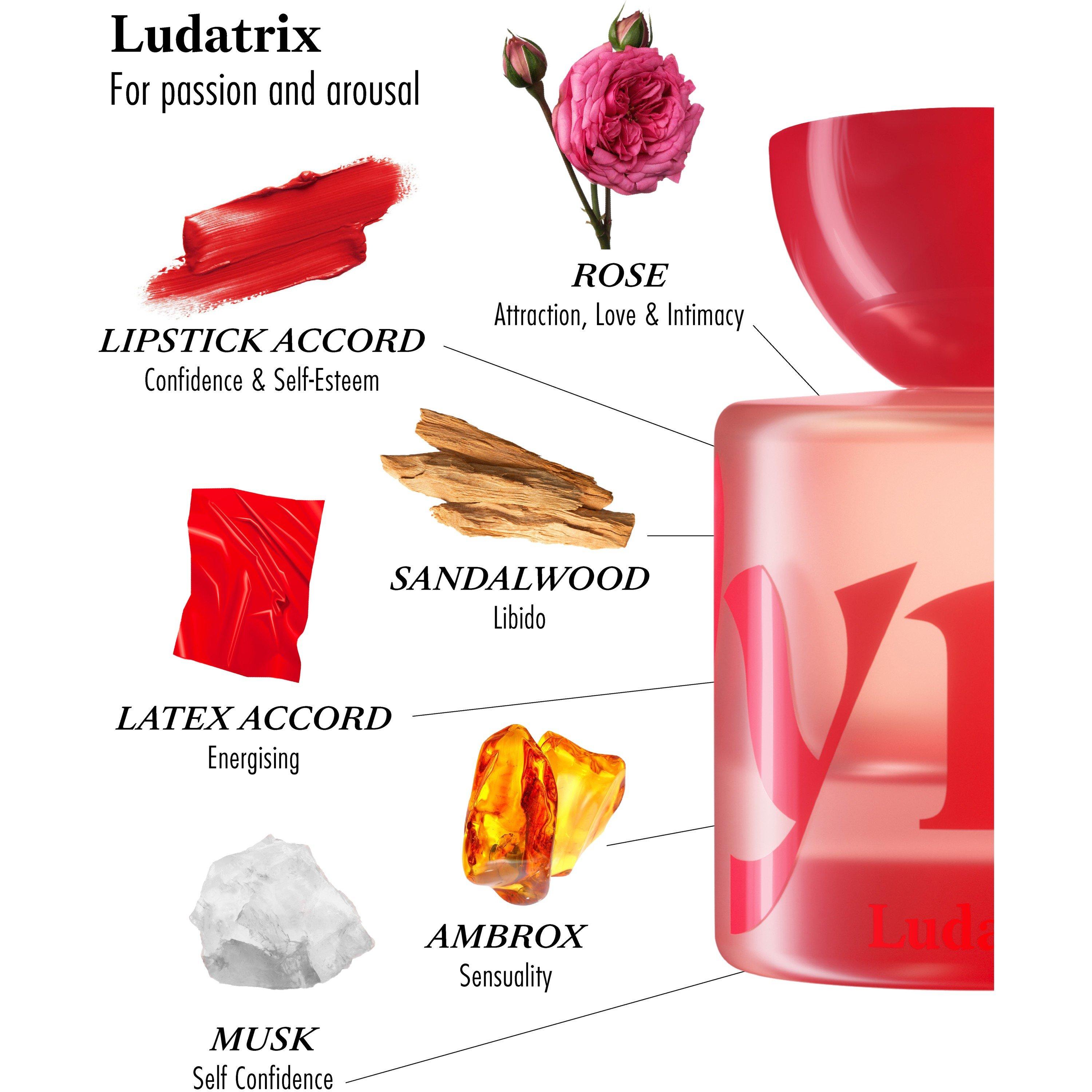 Not Applicable - Vyrao - LUDATRIX EDP 10ML - 2