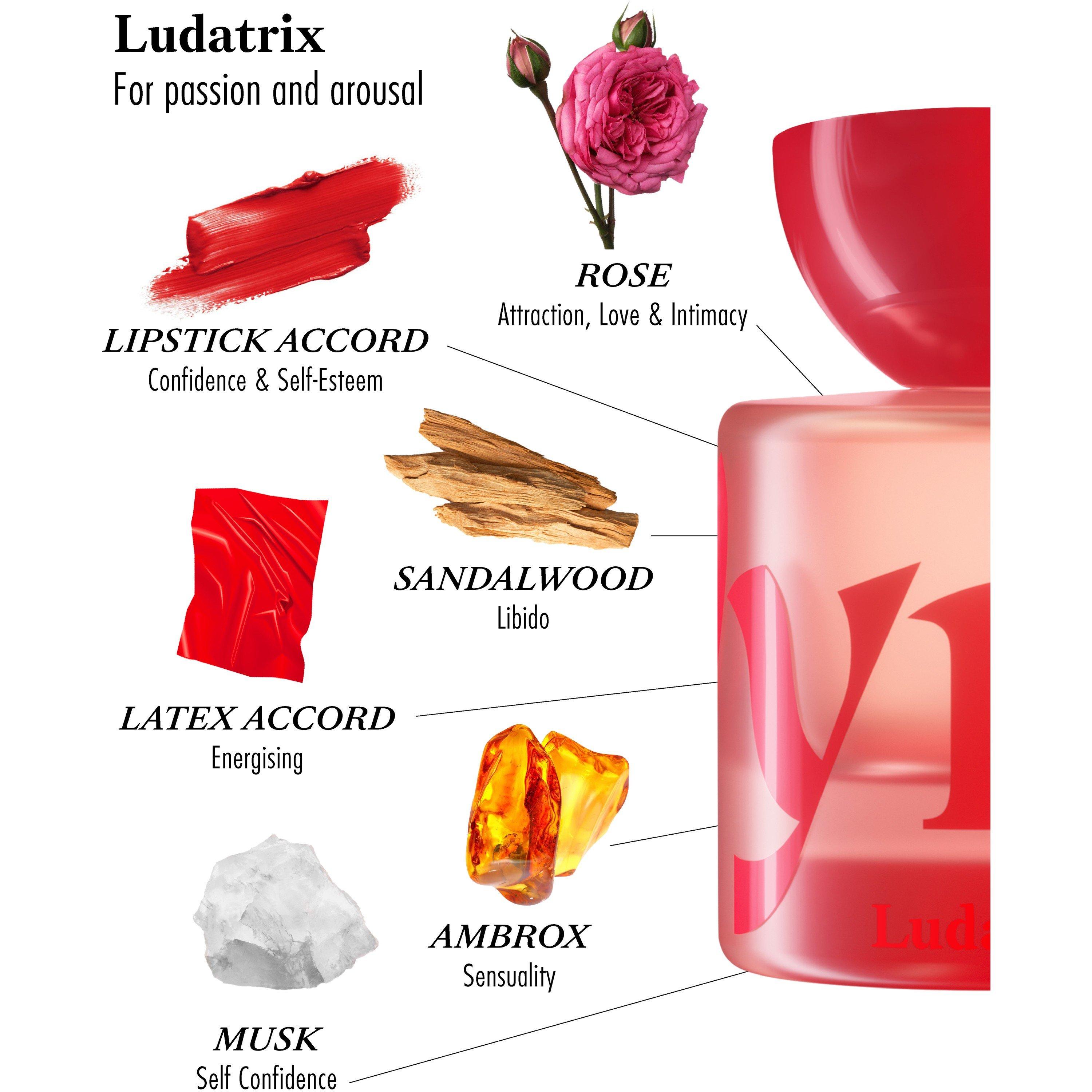 Not Applicable - Vyrao - LUDATRIX EDP 50ML - 5