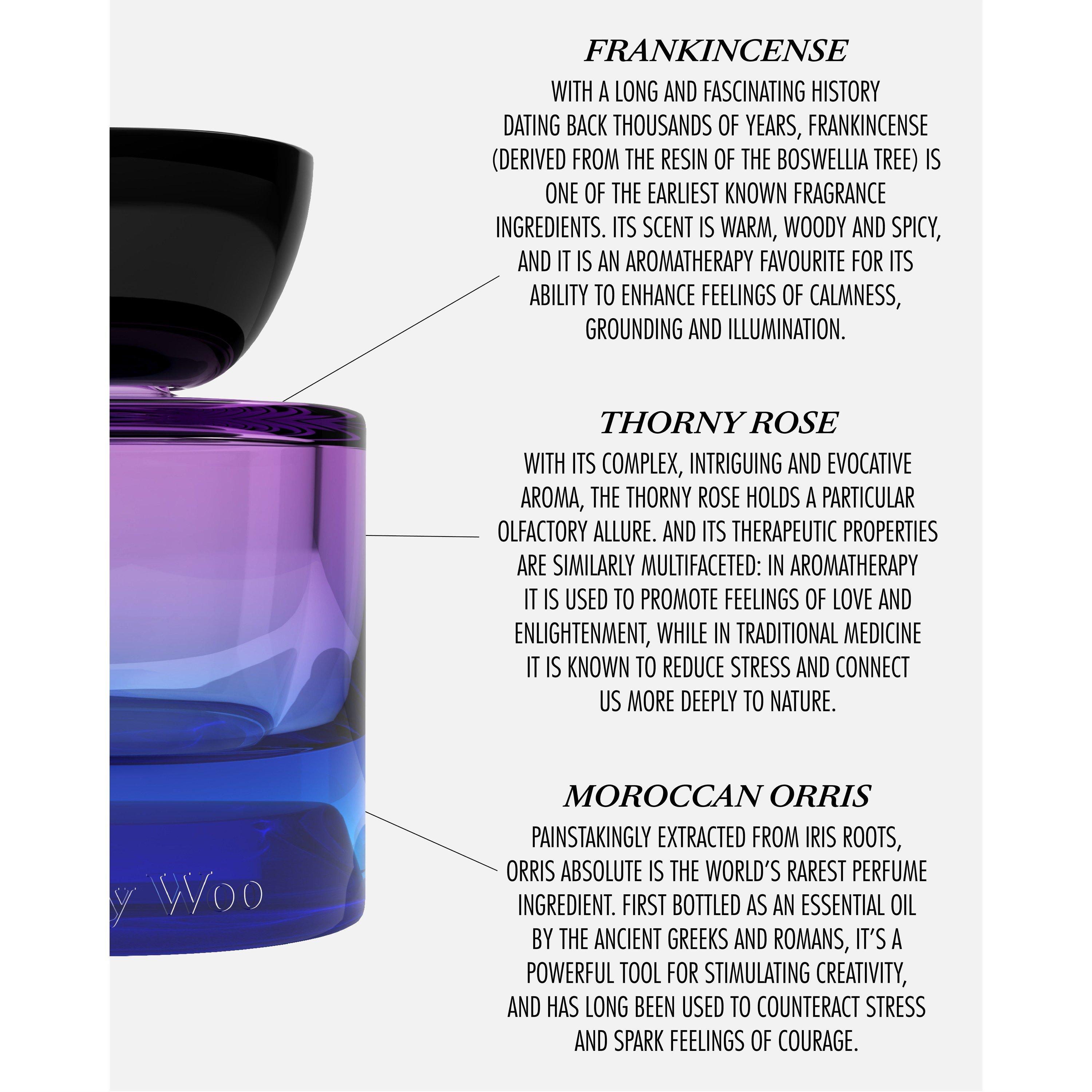 Not Applicable - Vyrao - WITCHY WOO EDP 30ML - 3