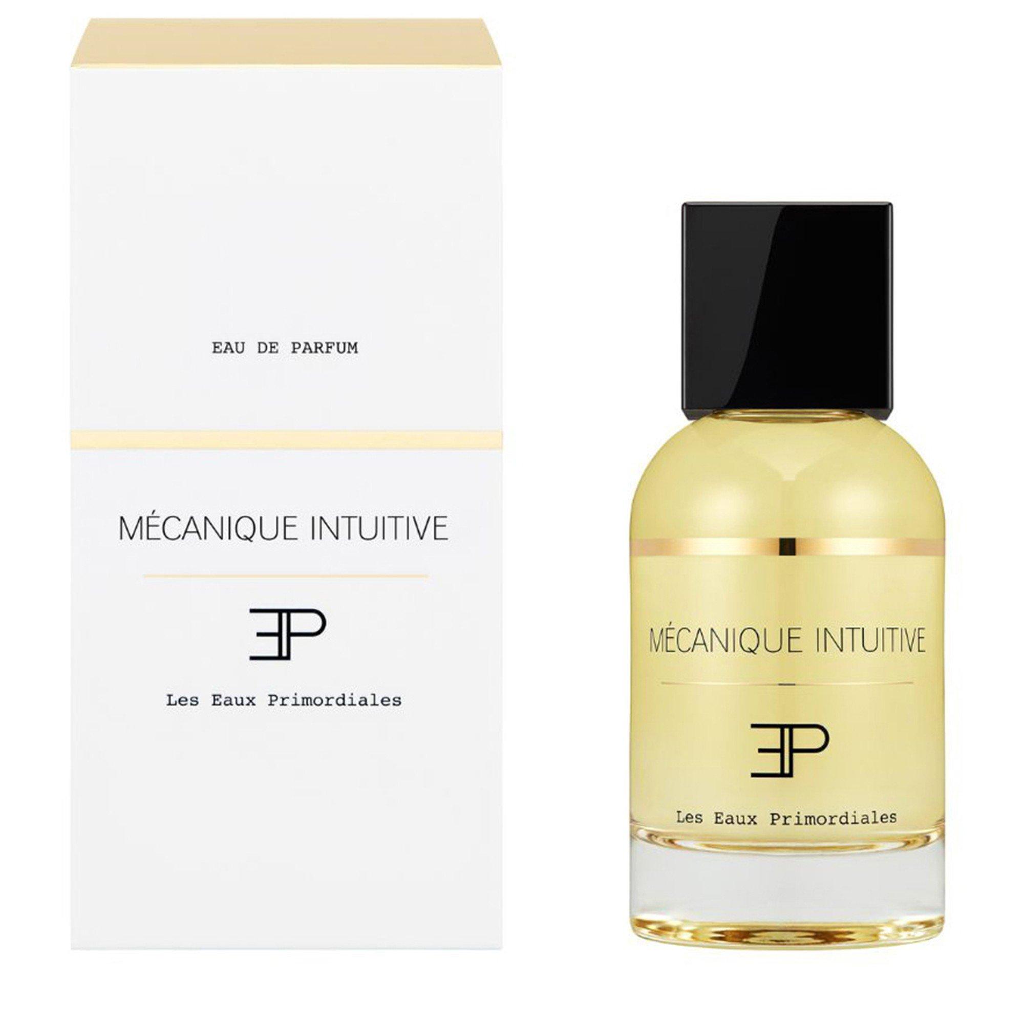 Not Applicable - Les Eaux Primordiales - M?CANIQUE INTUITIVE EDP 1 - 2
