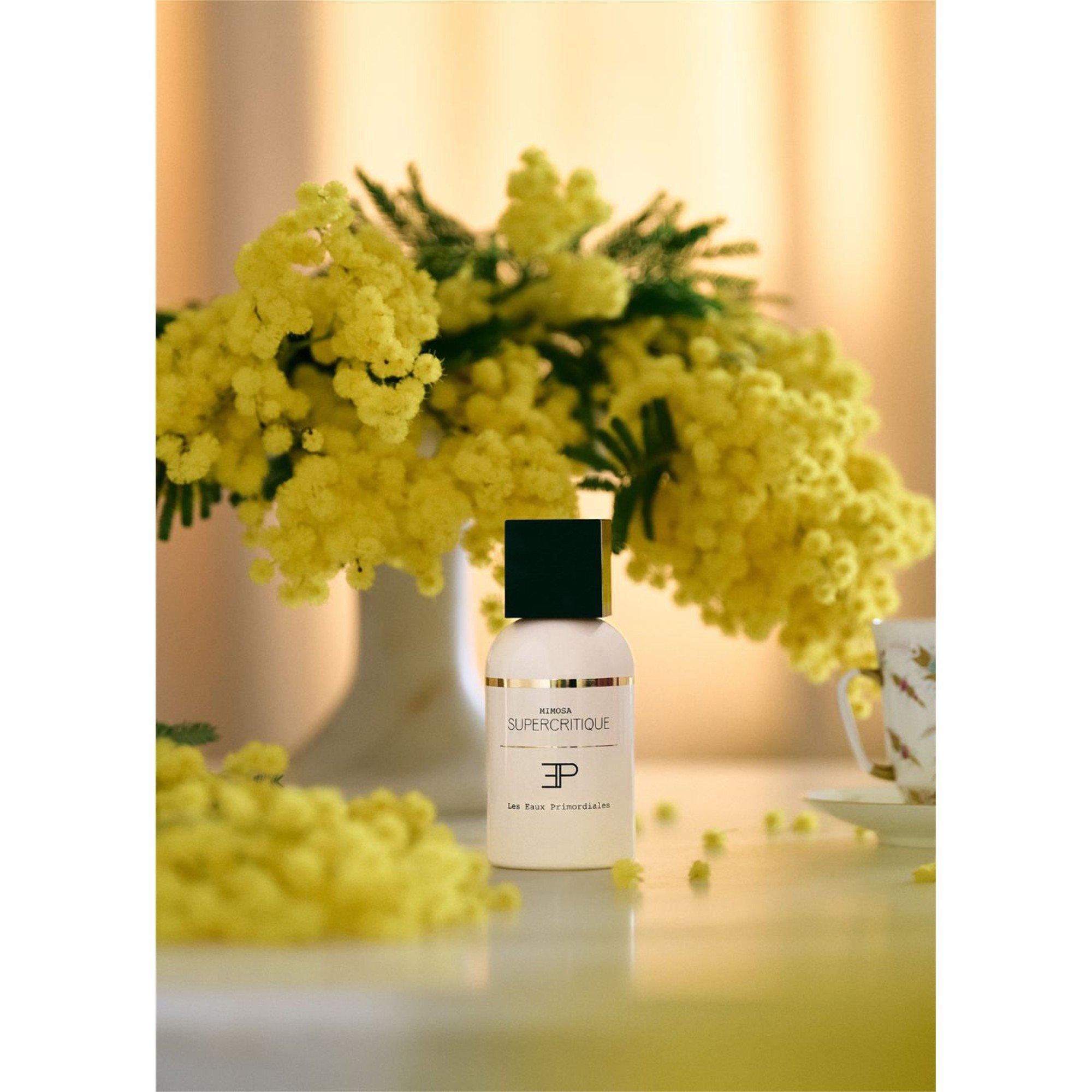 Not Applicable - Unknown - MIMOSA SUPERCRITIQUE EDP - 3