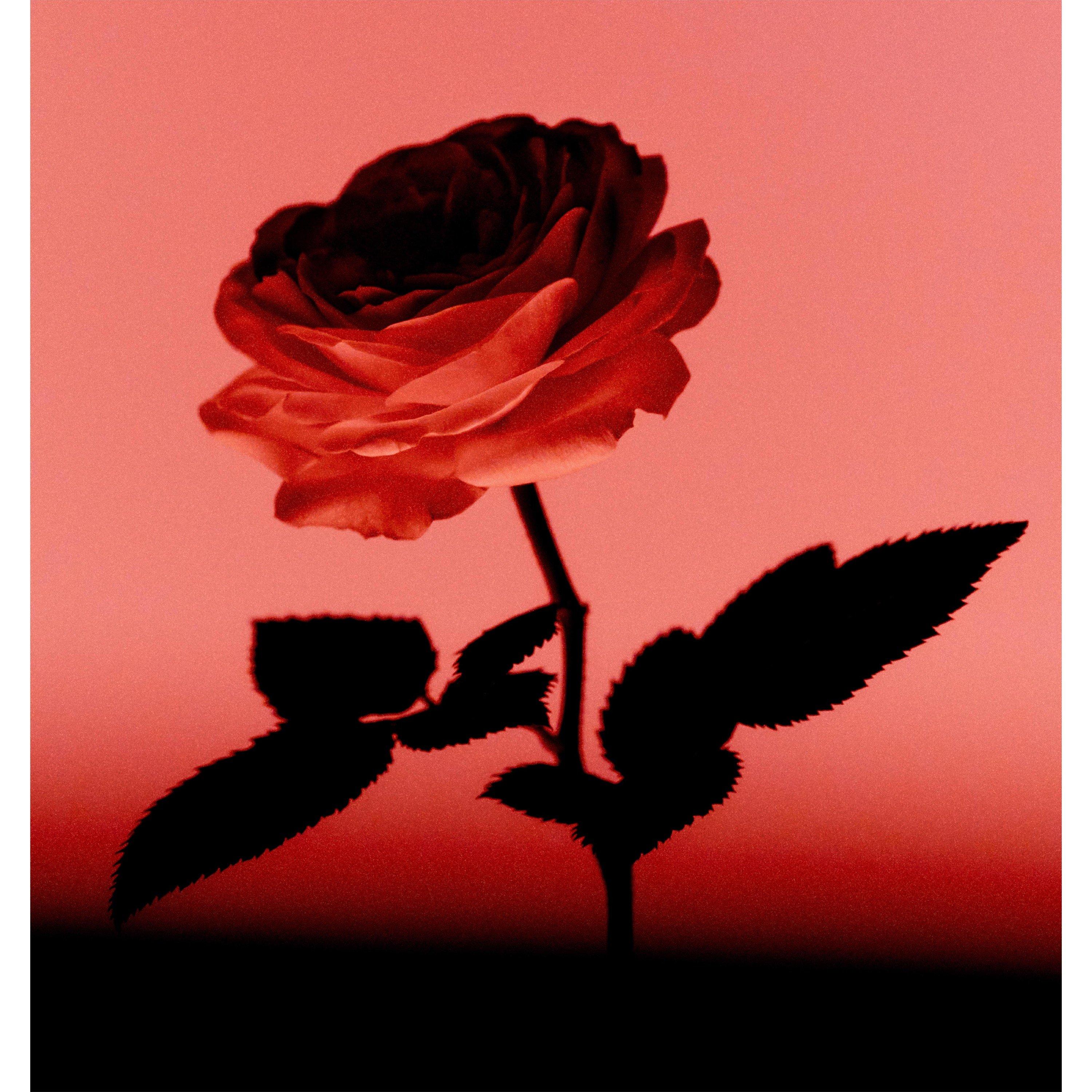 Not Applicable - Frederic Malle - Contre-Jour Eau de Parfum - 3