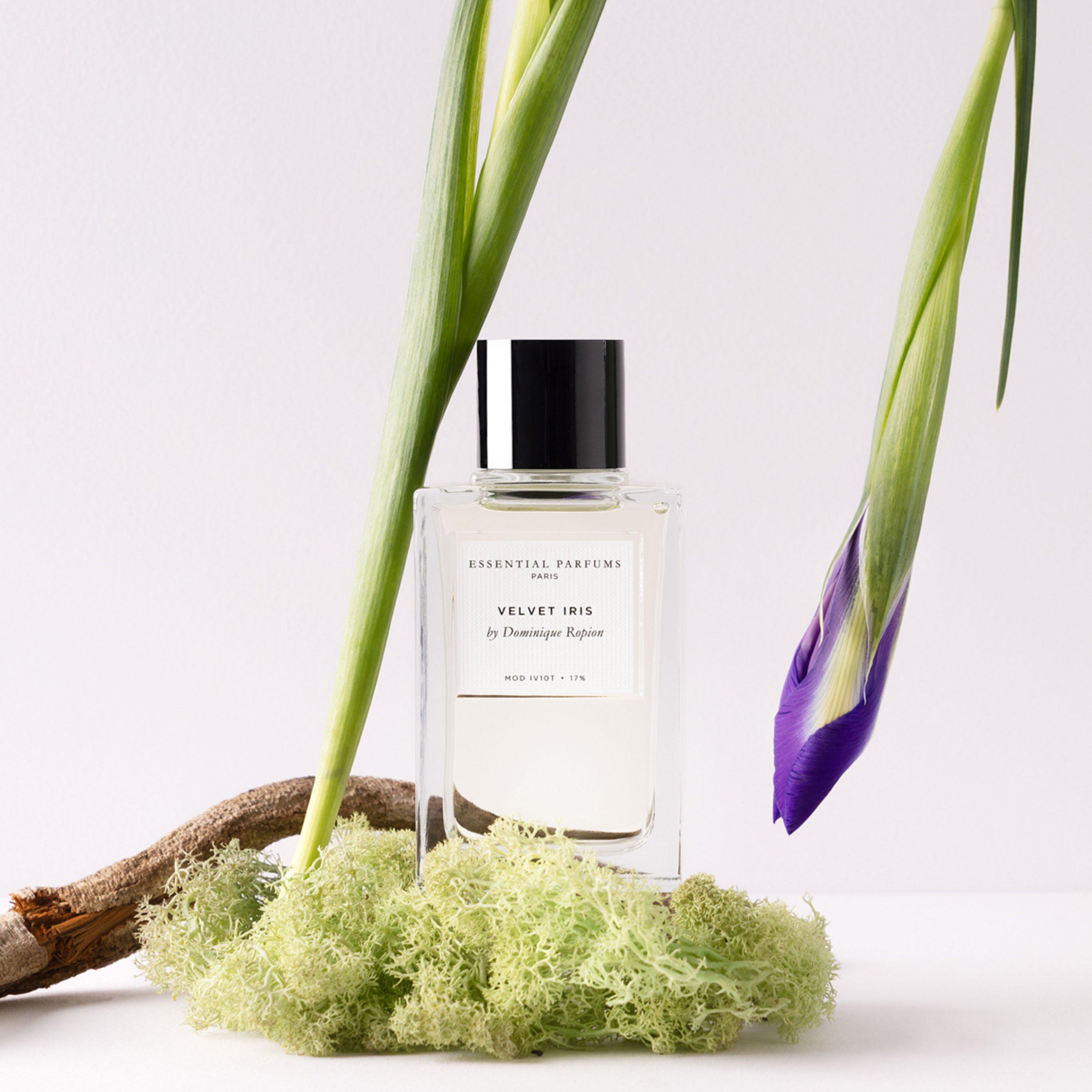 Not Applicable - Essential Parfums - Essential Parfums Velvet - 4