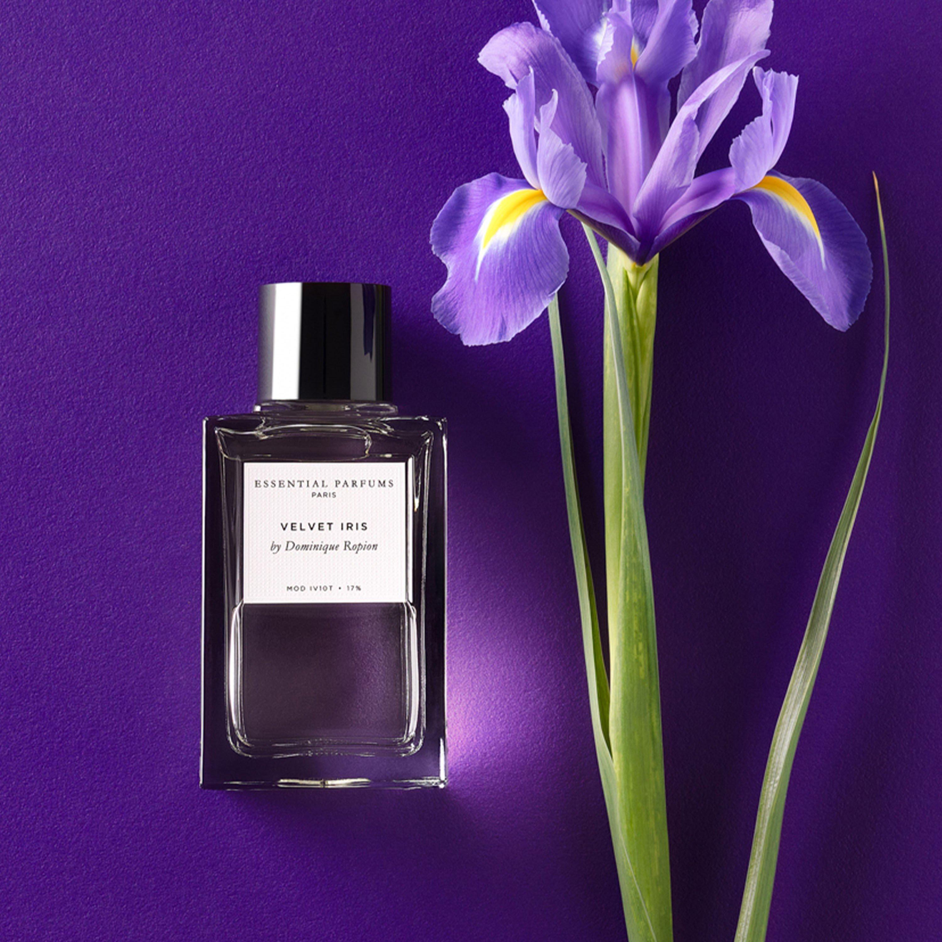 Not Applicable - Essential Parfums - Essential Parfums Velvet - 5