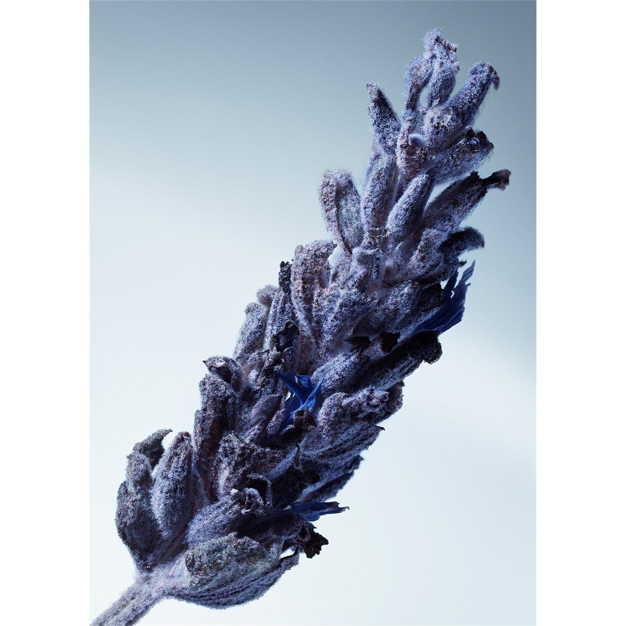 Not Applicable - Matiere Premiere - Metal Lavender 100ml - 5