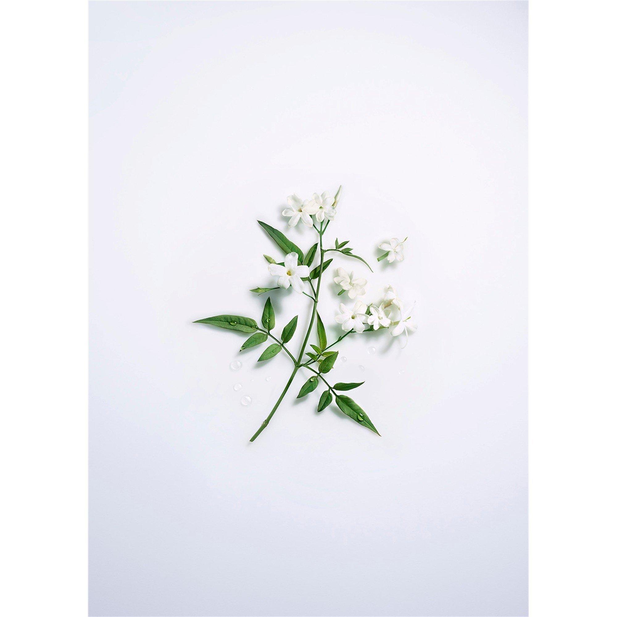 Not Applicable - Lancome - MAISON JASMIN D EAU EDP 1 - 5