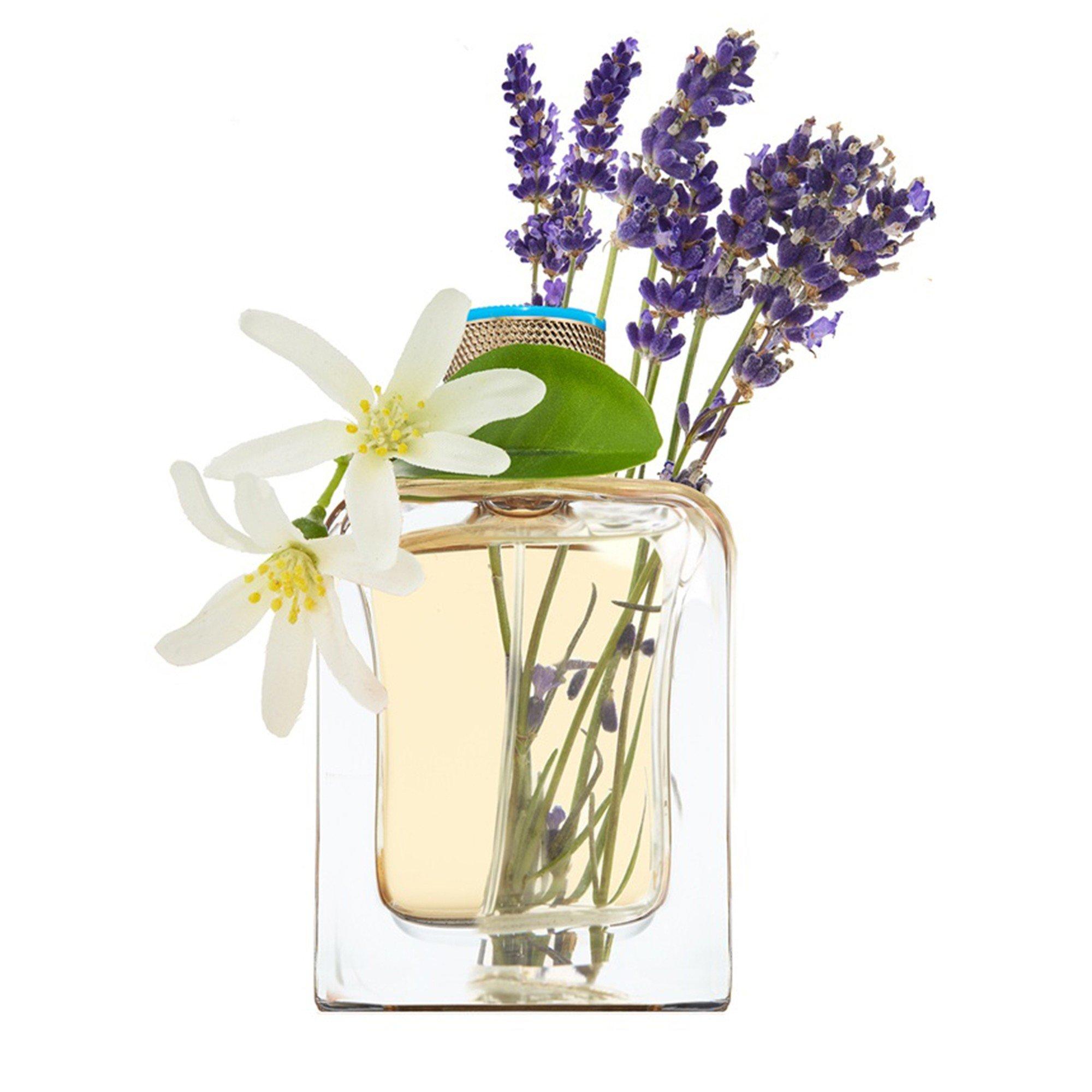Not Applicable - Veronique Gabai - EAU DAZUR EDP 85ml - 2