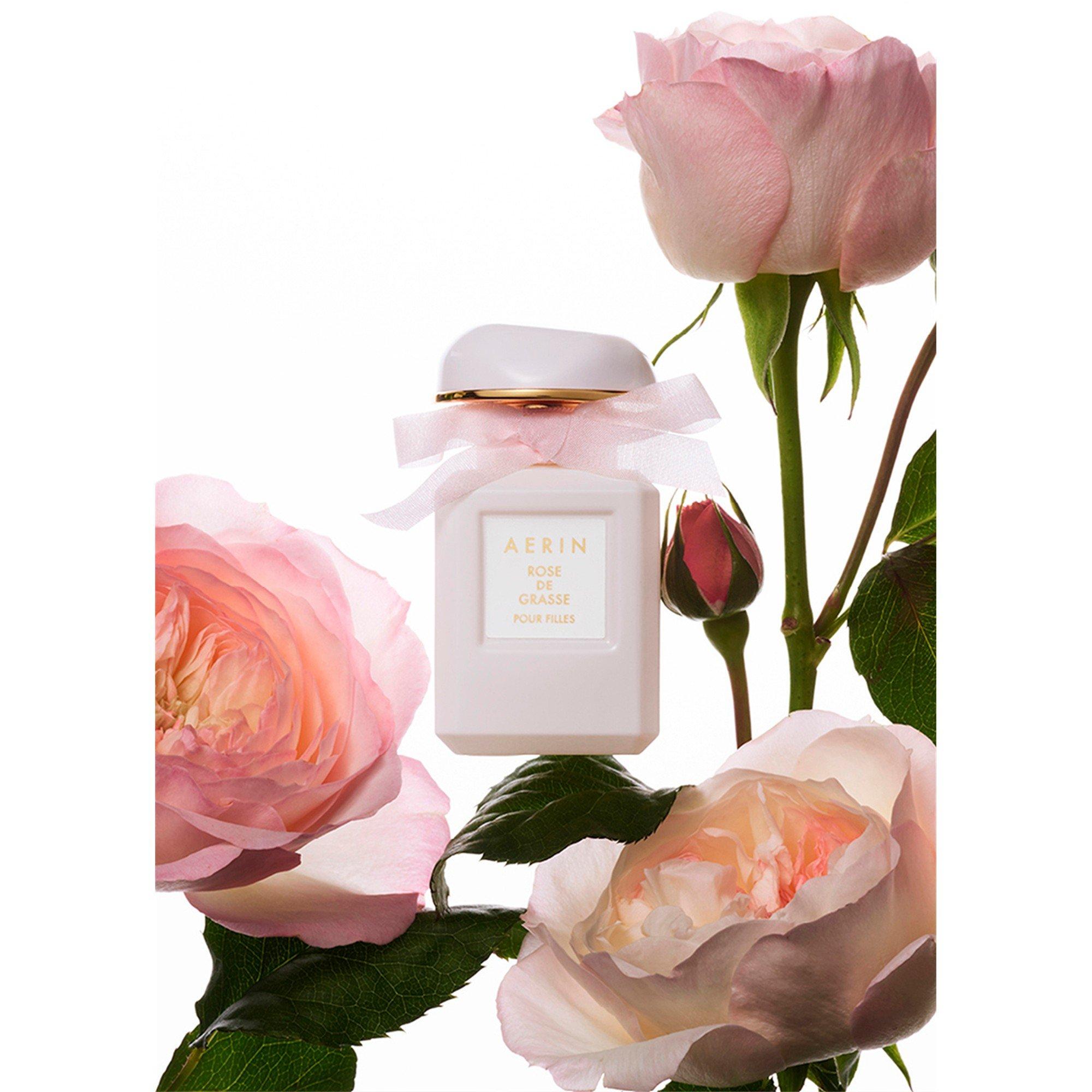Not Applicable - Estee Lauder - AERIN ROSE DE GRASSE PR F - 2