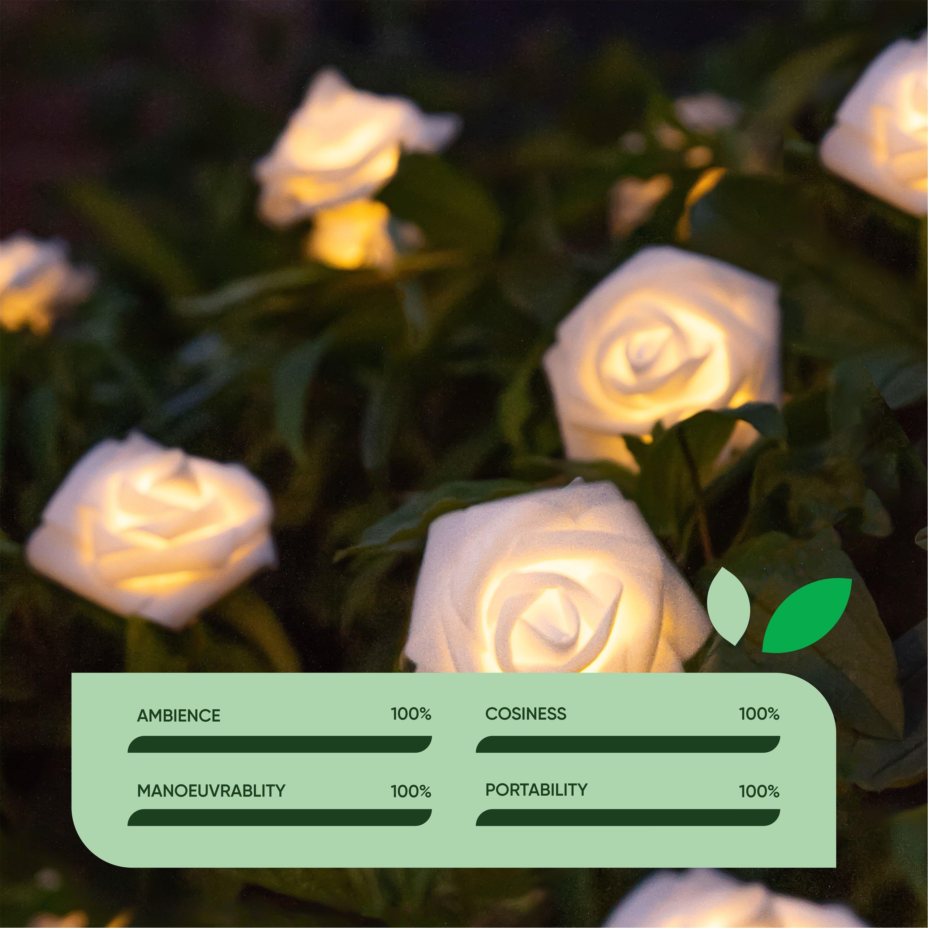 Rosa - Streetwize - Solar Lights - 6