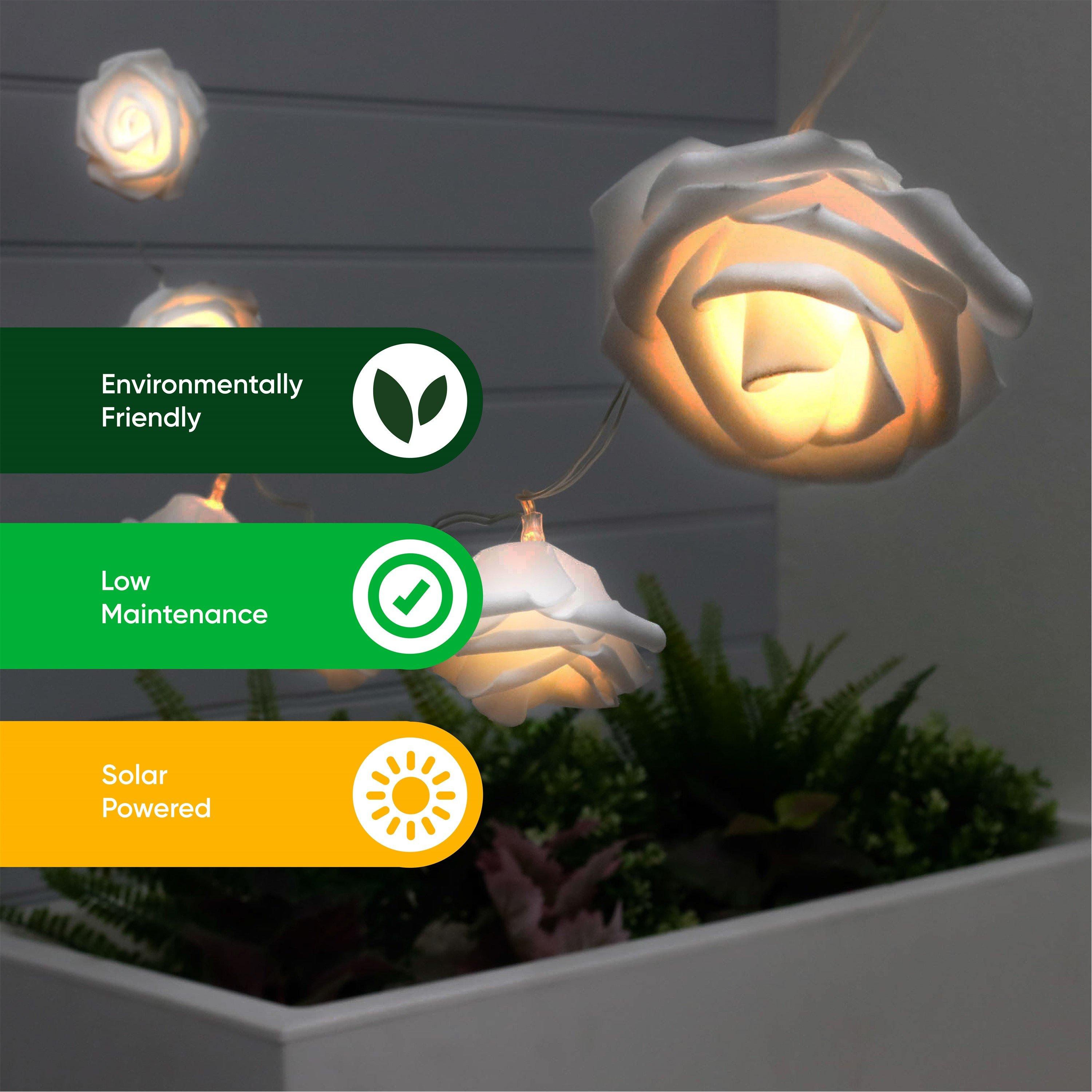 Rosa - Streetwize - Solar Lights - 7