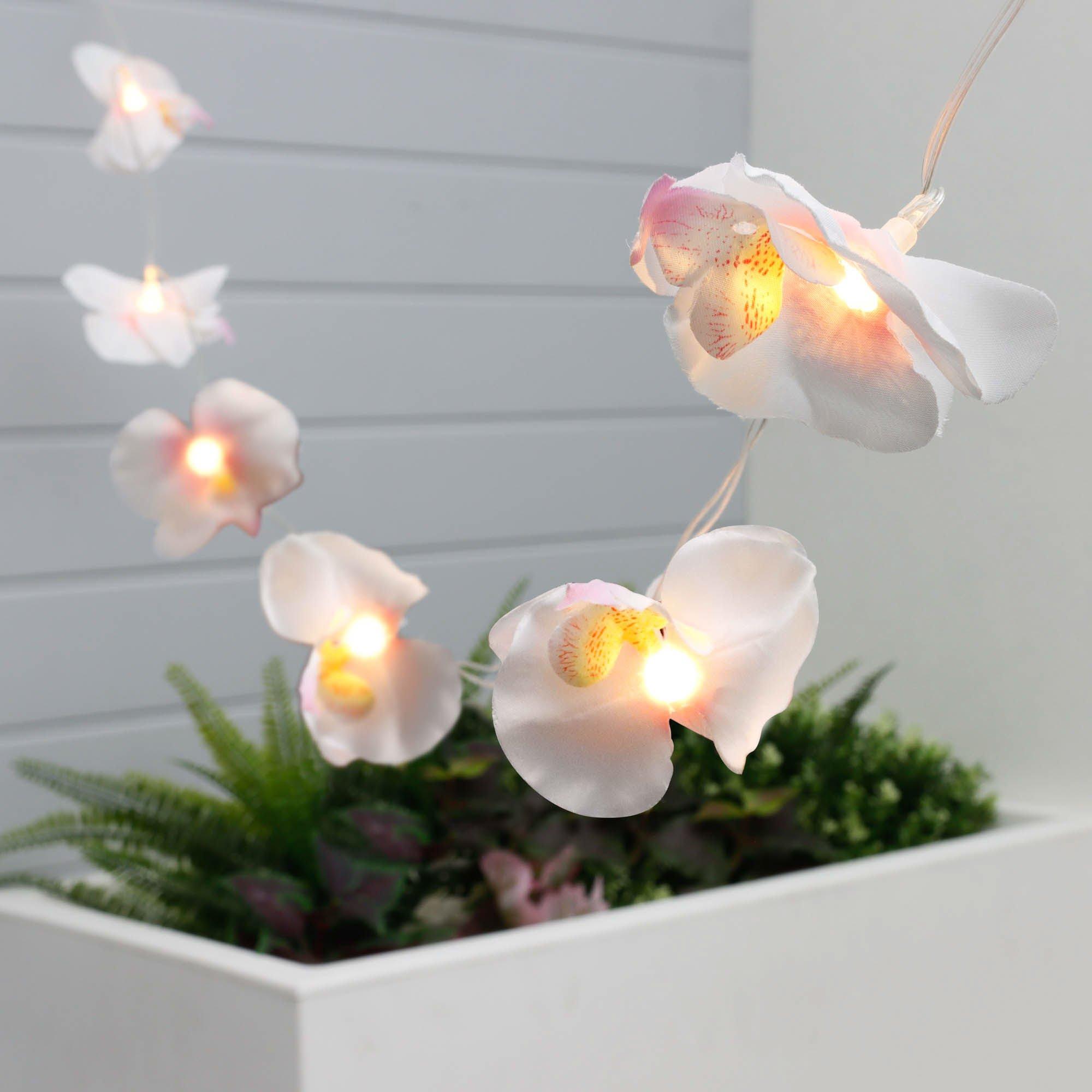 Streetwize  Solar Lights - Orchid