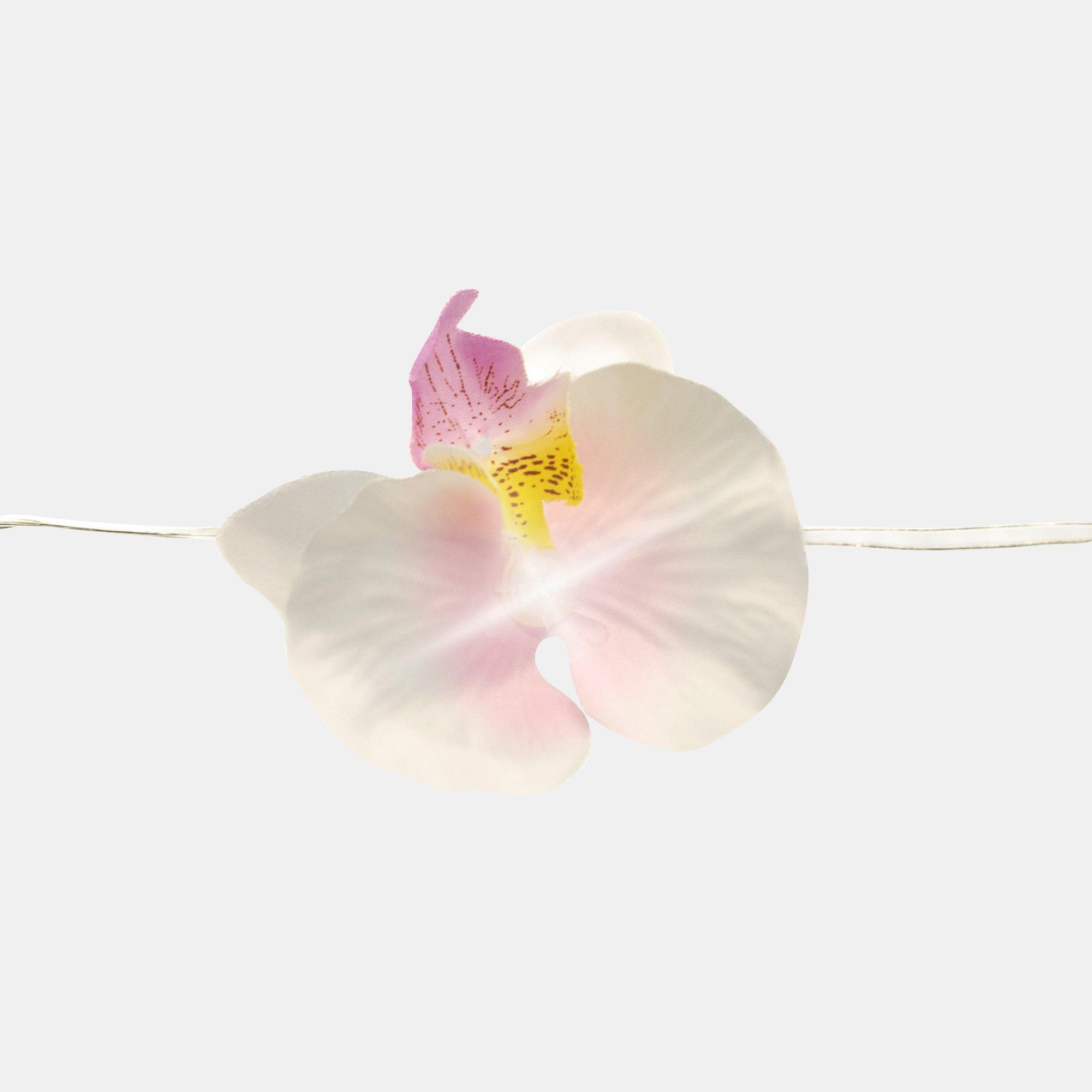 Orchid - Streetwize - Solar Lights - 3