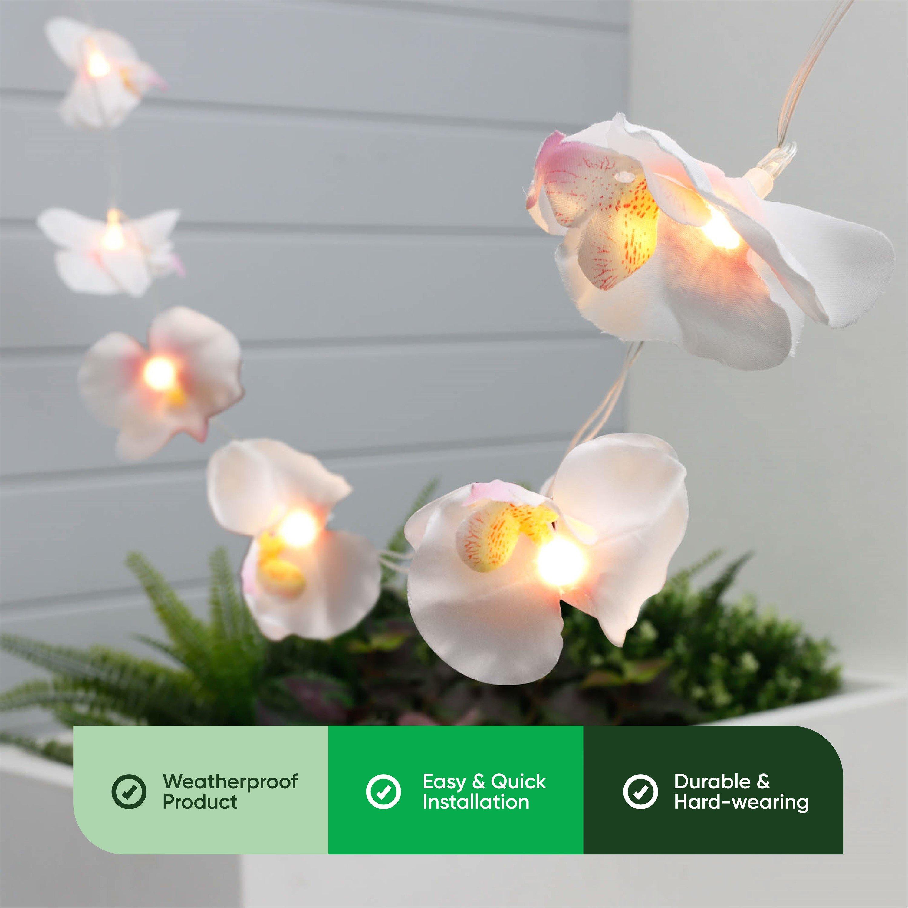 Orchid - Streetwize - Solar Lights - 4