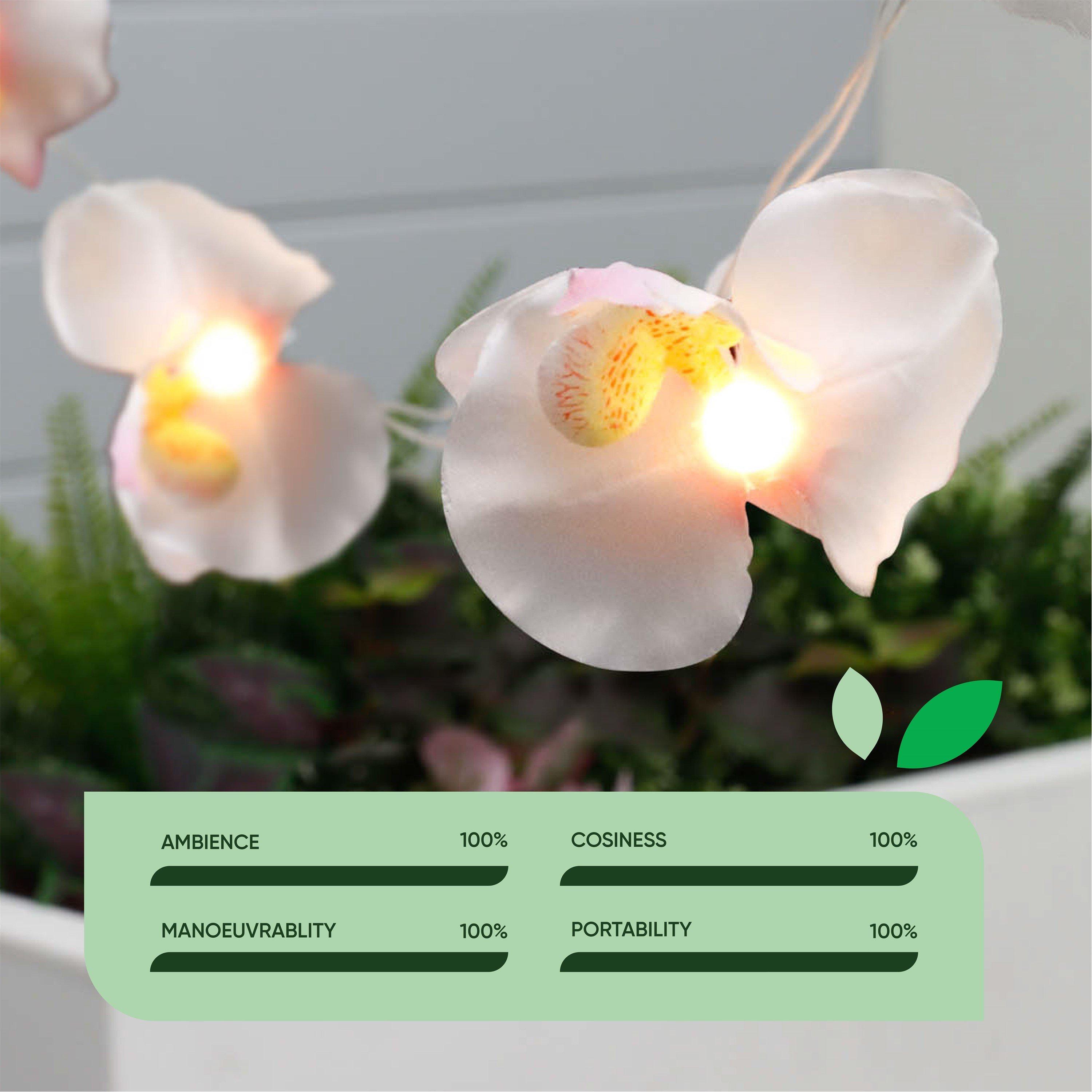 Orchid - Streetwize - Solar Lights - 6