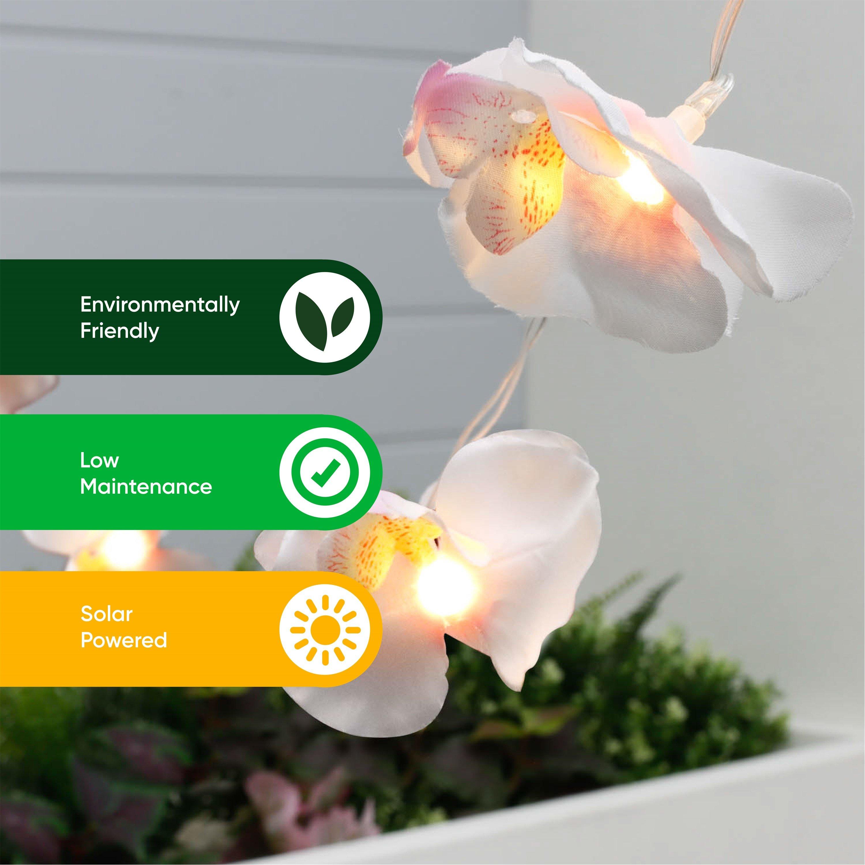 Orchid - Streetwize - Solar Lights - 7
