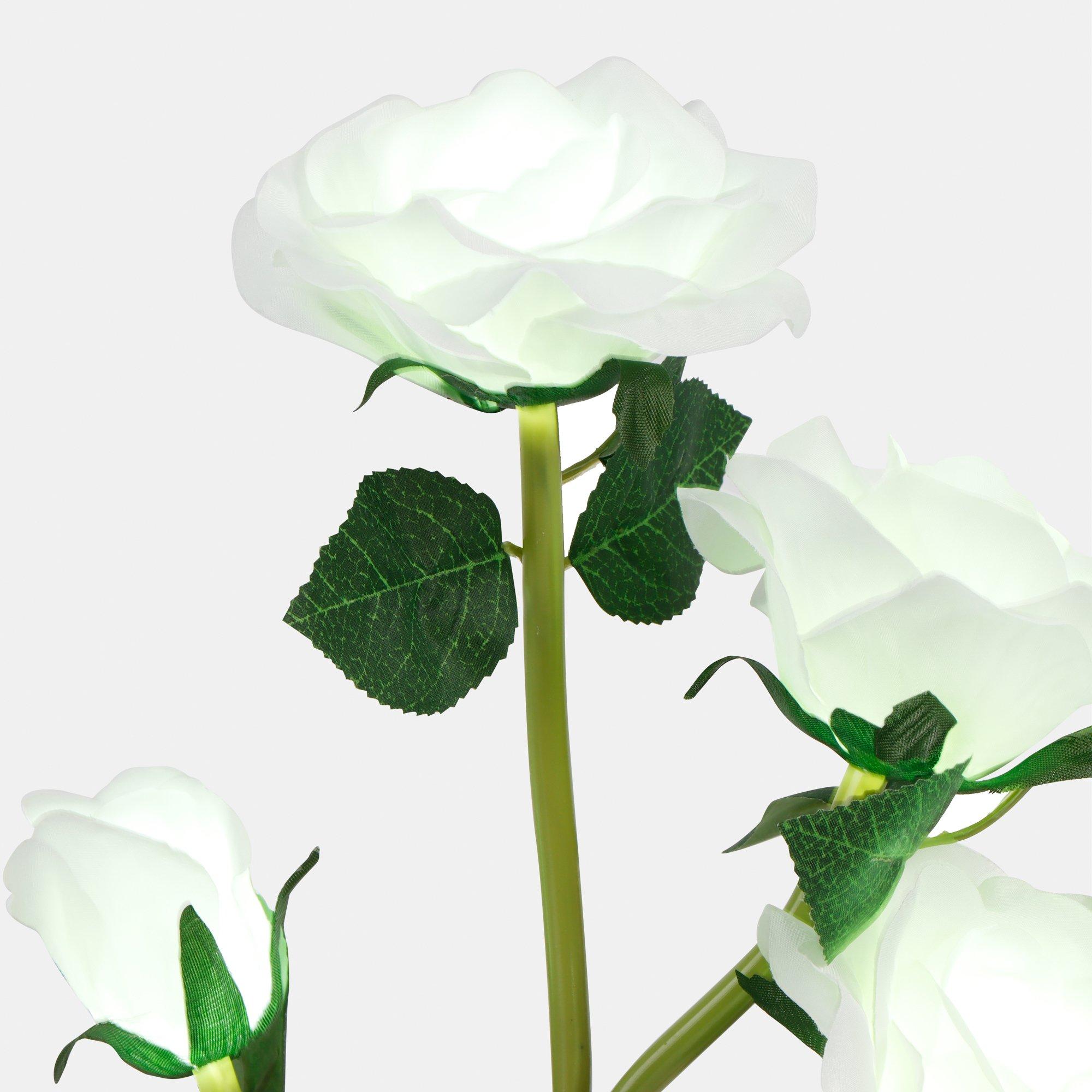 Streetwize Solar White Rose Stake Light | Sports Direct