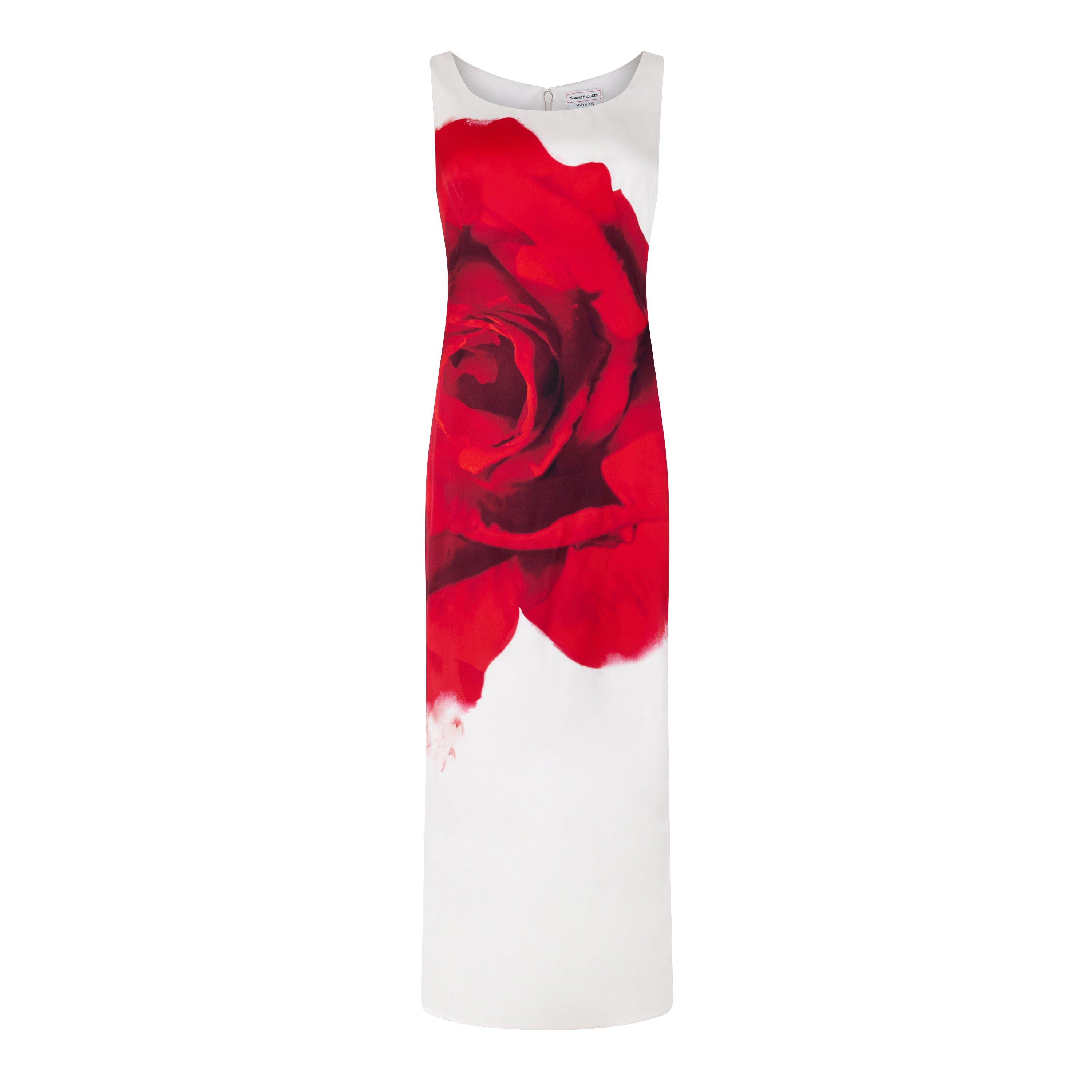White - Alexander McQueen - Bleeding Rose Pencil Dress - 5