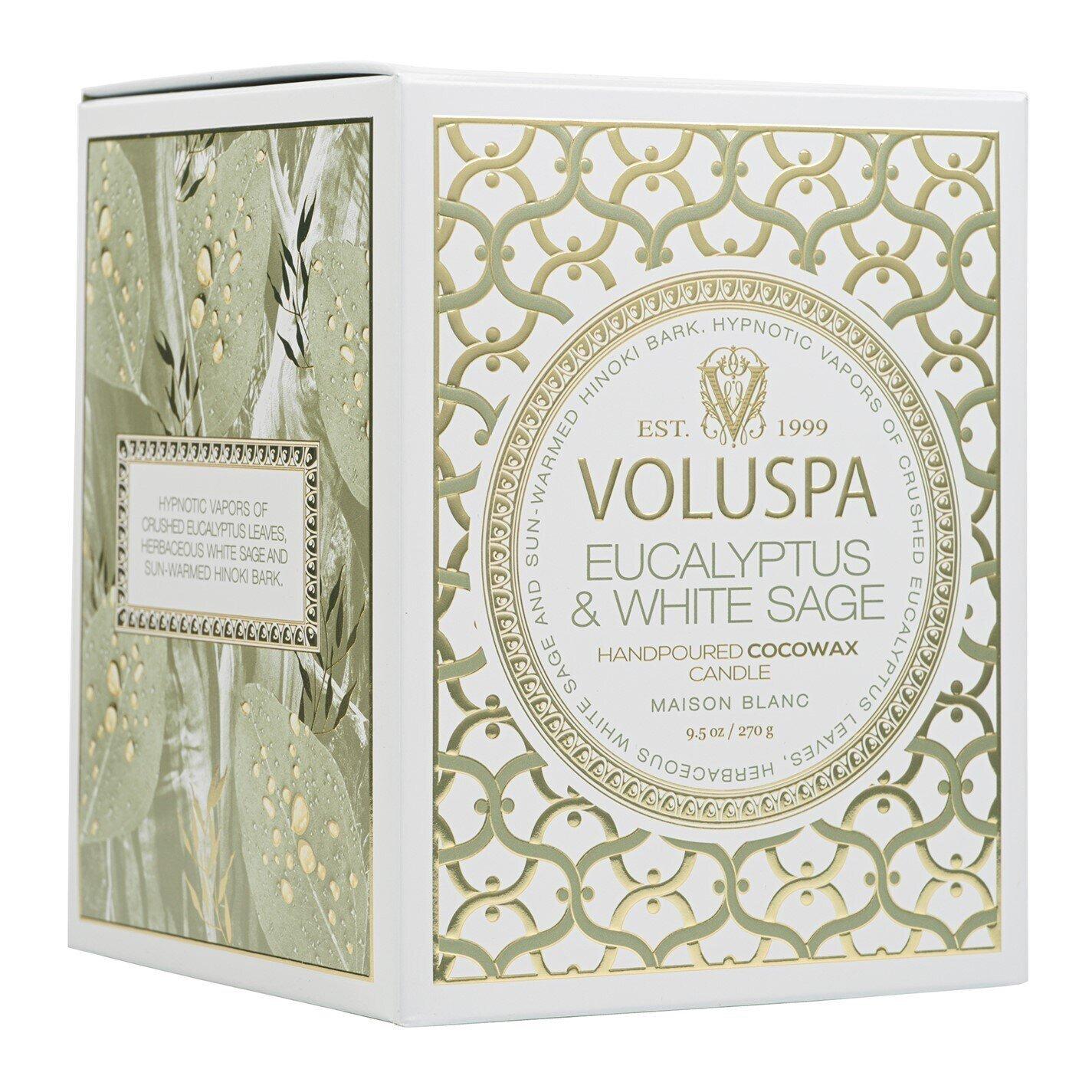Eucalyptus - Voluspa - Classic Maison Candle - 5