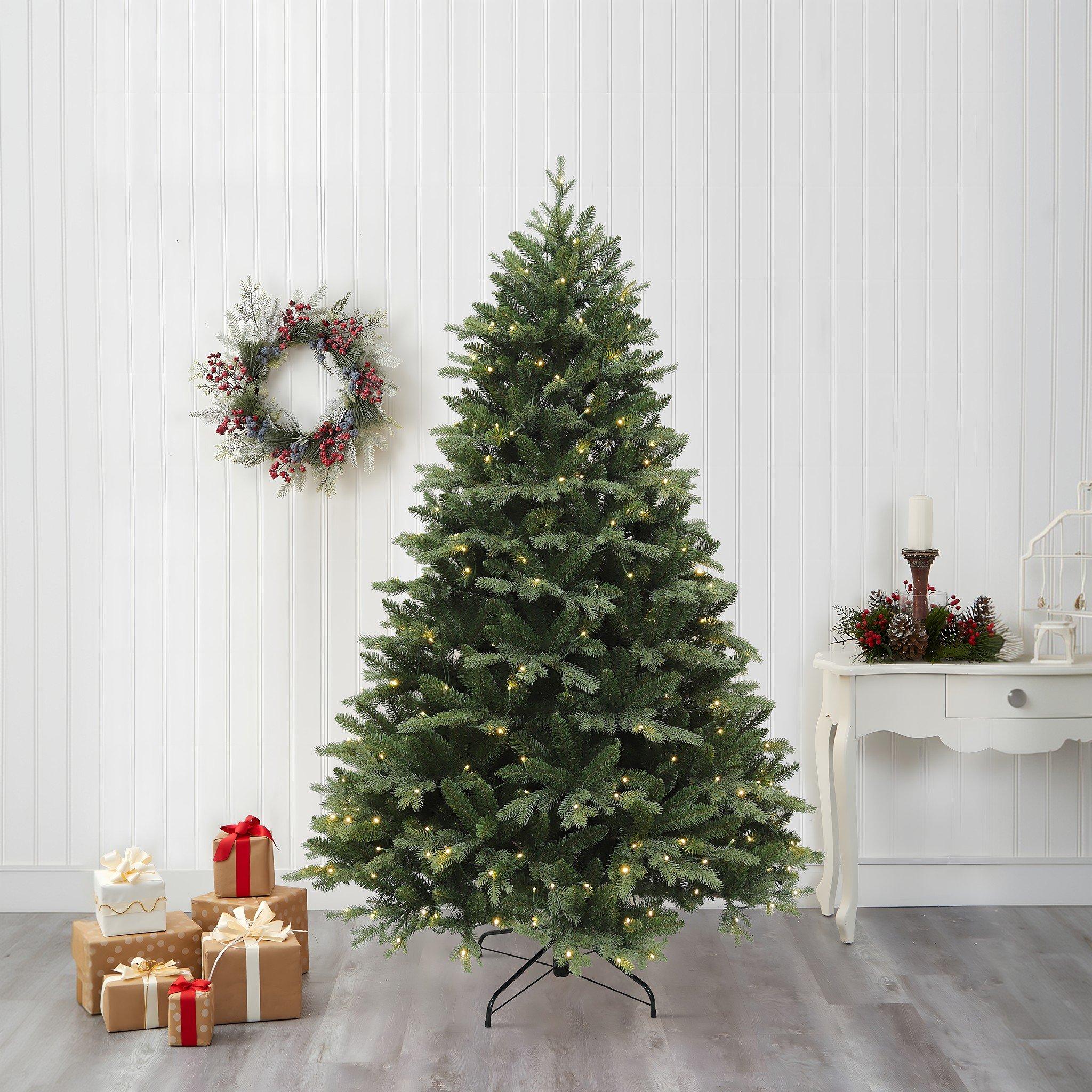 Christmas Trees - From £10 