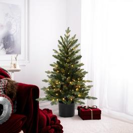 The Spirit Of Christmas 4FEET PRE-LIT OPP TREE 54 Green One Size