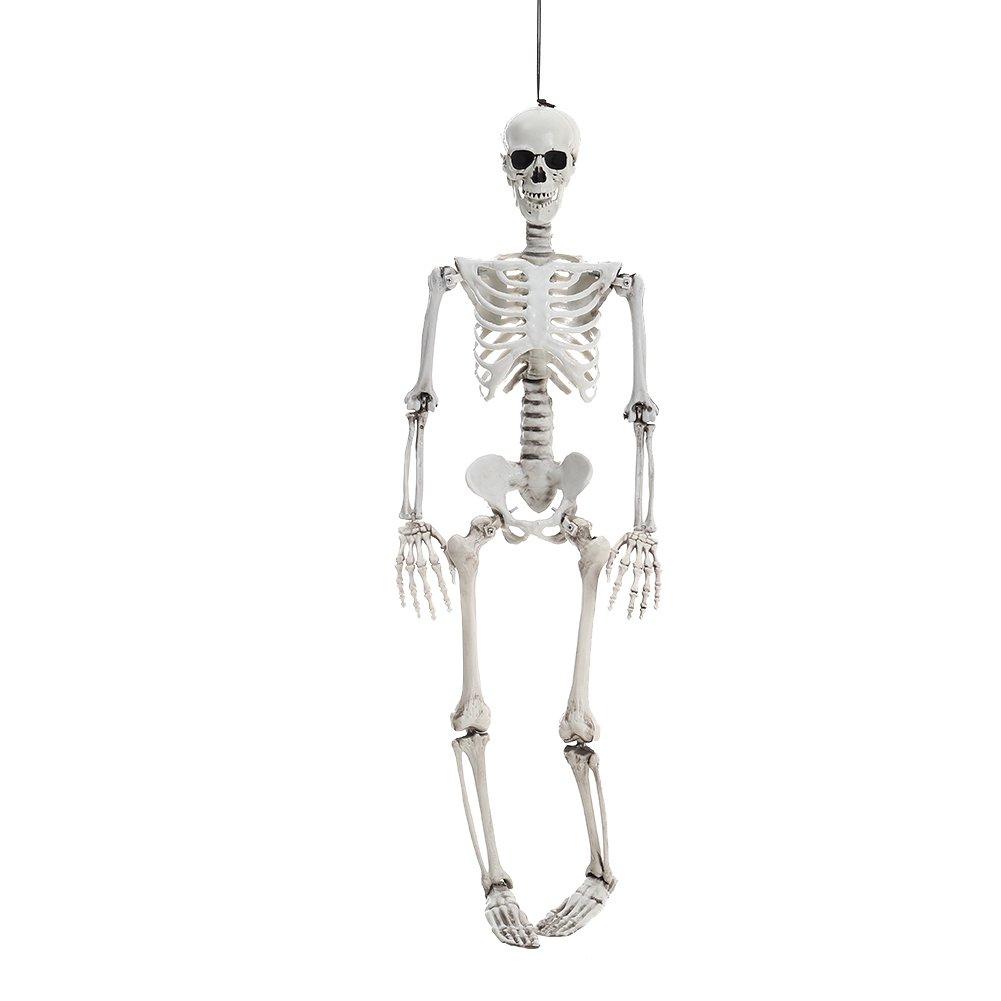 Skeleton - LIFE IDEAS - LIFE ID 90cm Full Body Skeleton Prop Decoration 64 - 3