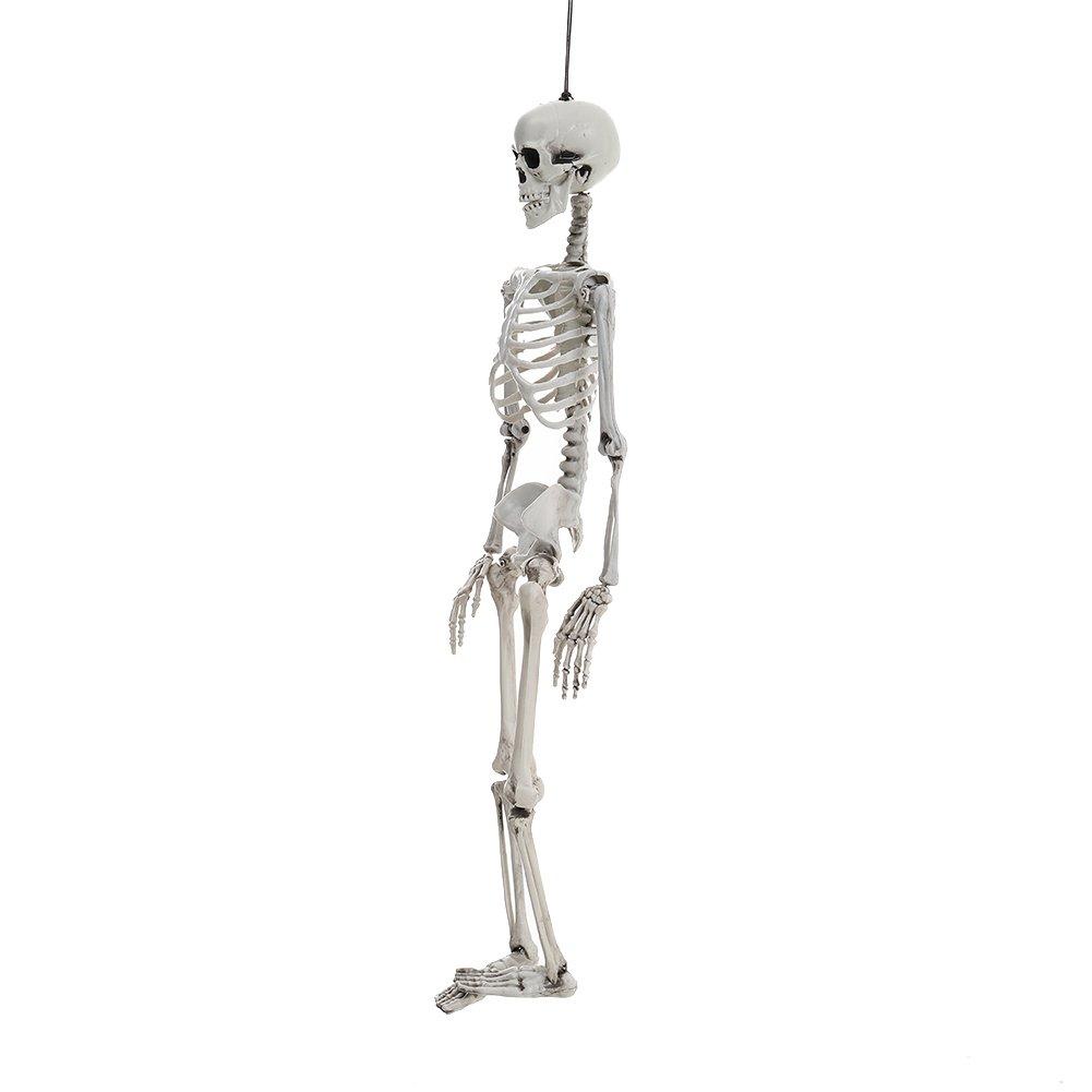 Skeleton - LIFE IDEAS - LIFE ID 90cm Full Body Skeleton Prop Decoration 64 - 4