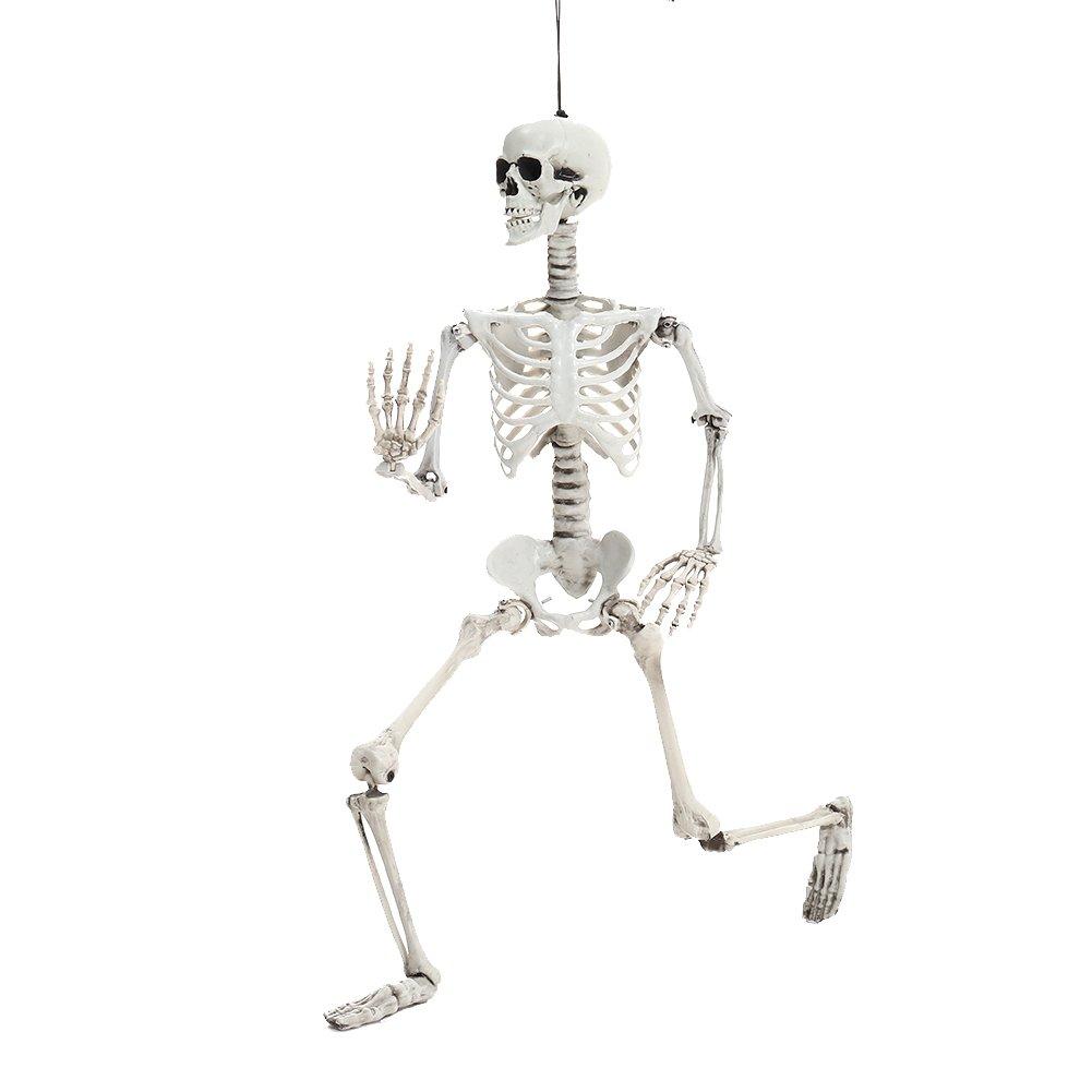 Skeleton - LIFE IDEAS - LIFE ID 90cm Full Body Skeleton Prop Decoration 64 - 6