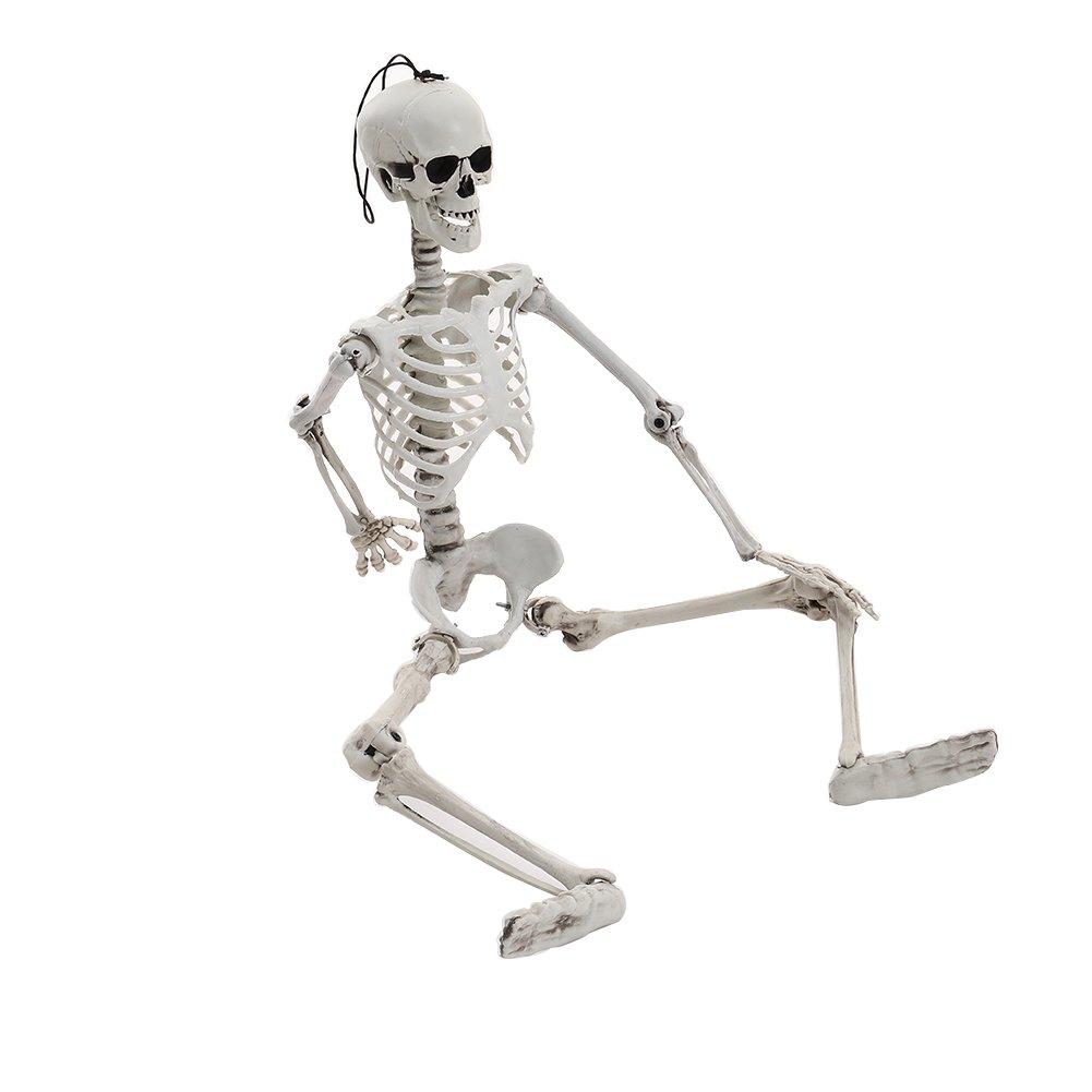 Skeleton - LIFE IDEAS - LIFE ID 90cm Full Body Skeleton Prop Decoration 64 - 7