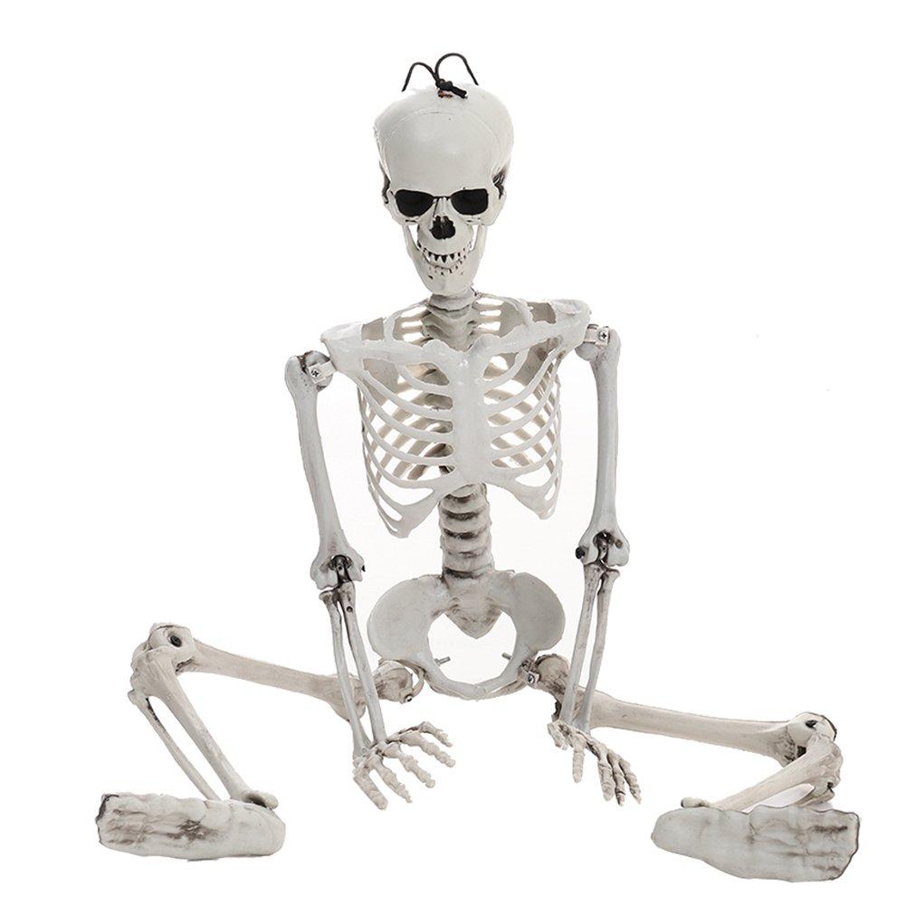 Skeleton - LIFE IDEAS - LIFE ID 90cm Full Body Skeleton Prop Decoration 64 - 8