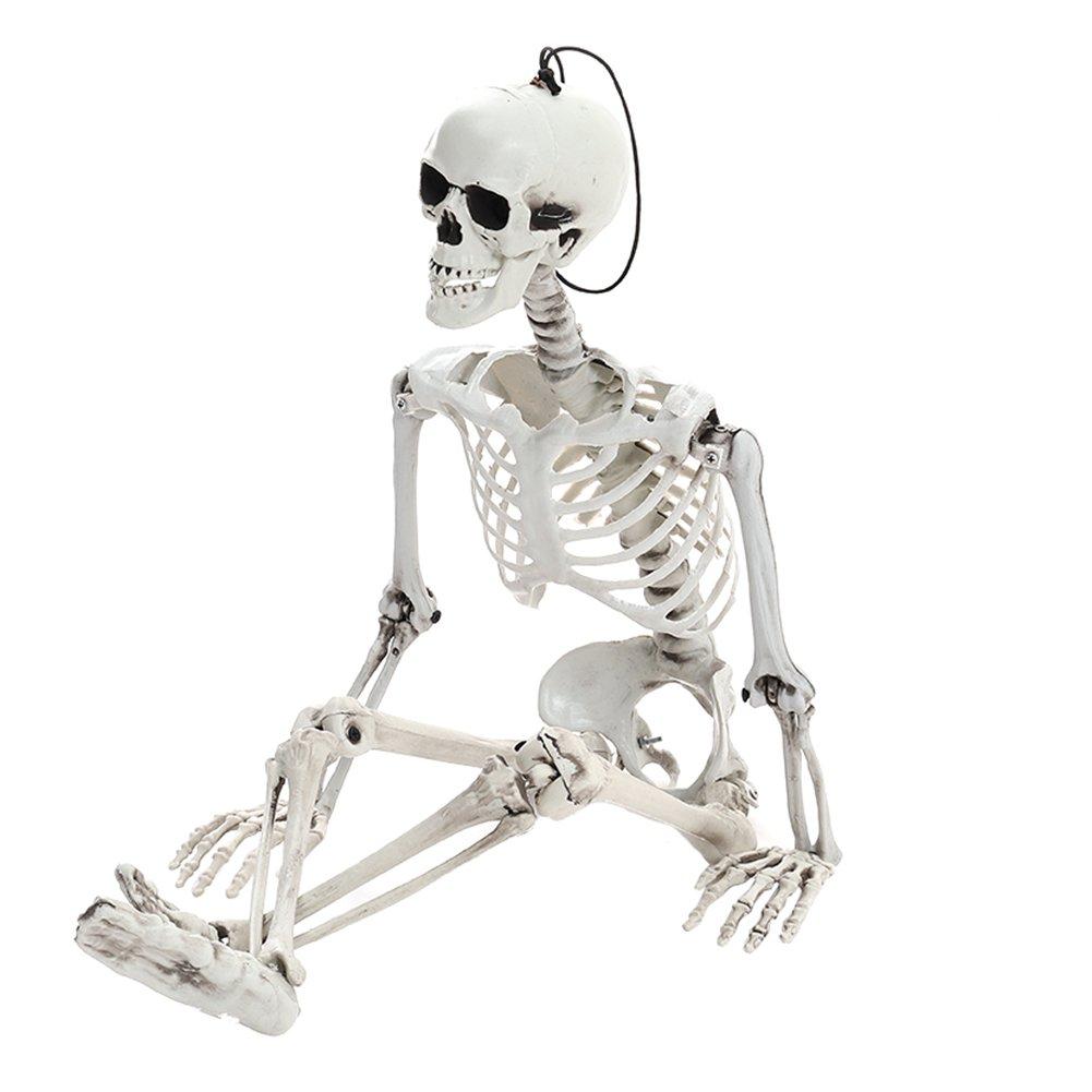 Skeleton - LIFE IDEAS - LIFE ID 90cm Full Body Skeleton Prop Decoration 64 - 9