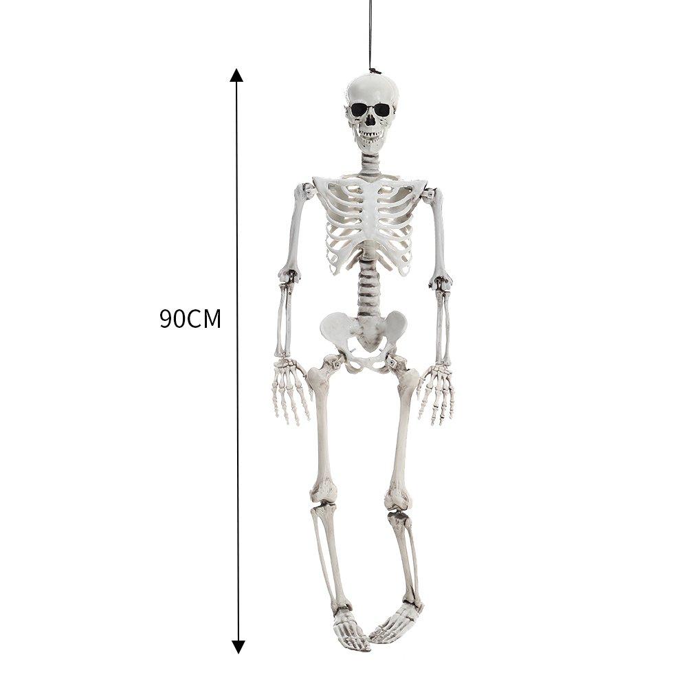 Skeleton - LIFE IDEAS - LIFE ID 90cm Full Body Skeleton Prop Decoration 64 - 10