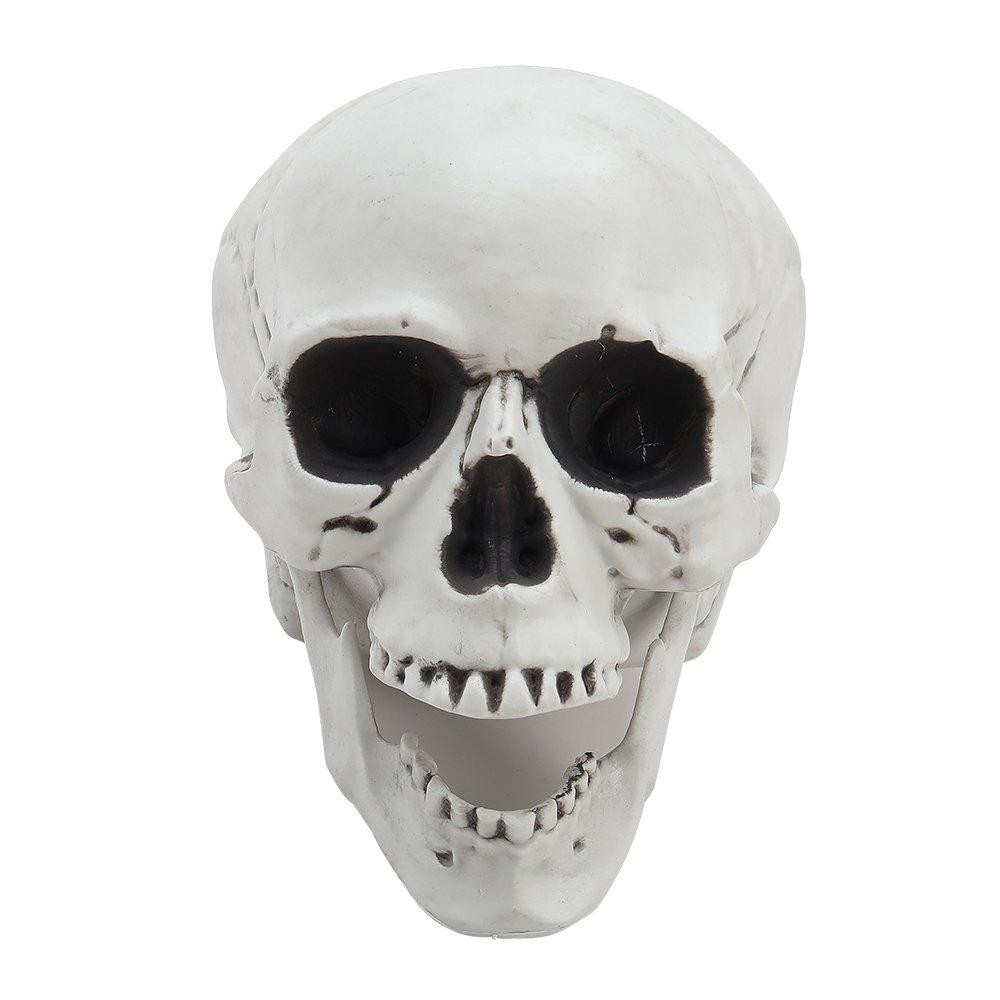 Skull - LIFE IDEAS - LIFE IDEAS 22cm Skull Tabletop Decoration 64 - 3