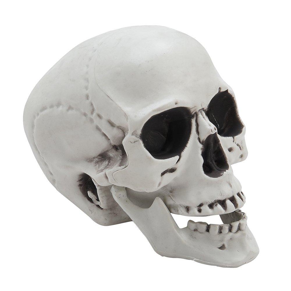 Skull - LIFE IDEAS - LIFE IDEAS 22cm Skull Tabletop Decoration 64 - 4
