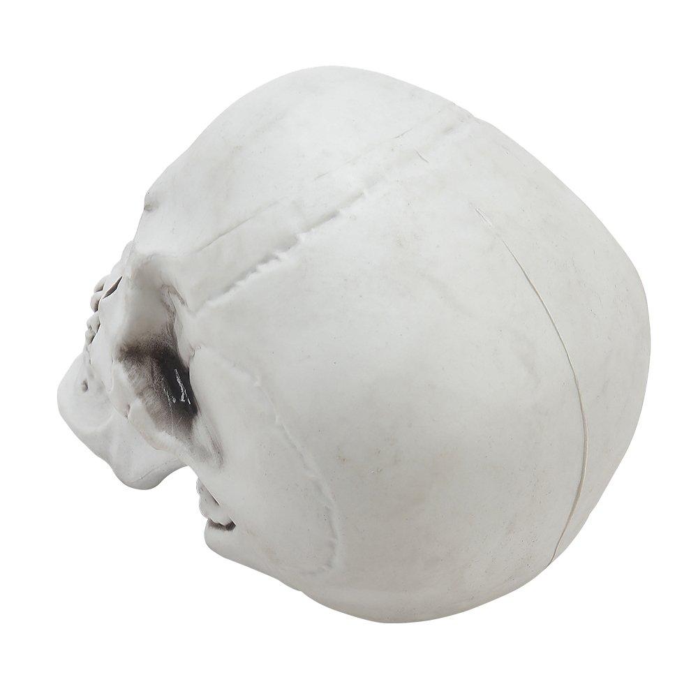 Skull - LIFE IDEAS - LIFE IDEAS 22cm Skull Tabletop Decoration 64 - 5