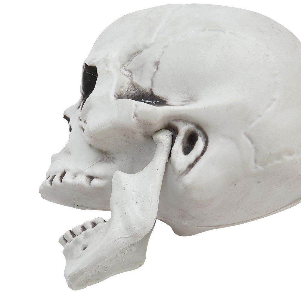 Skull - LIFE IDEAS - LIFE IDEAS 22cm Skull Tabletop Decoration 64 - 6